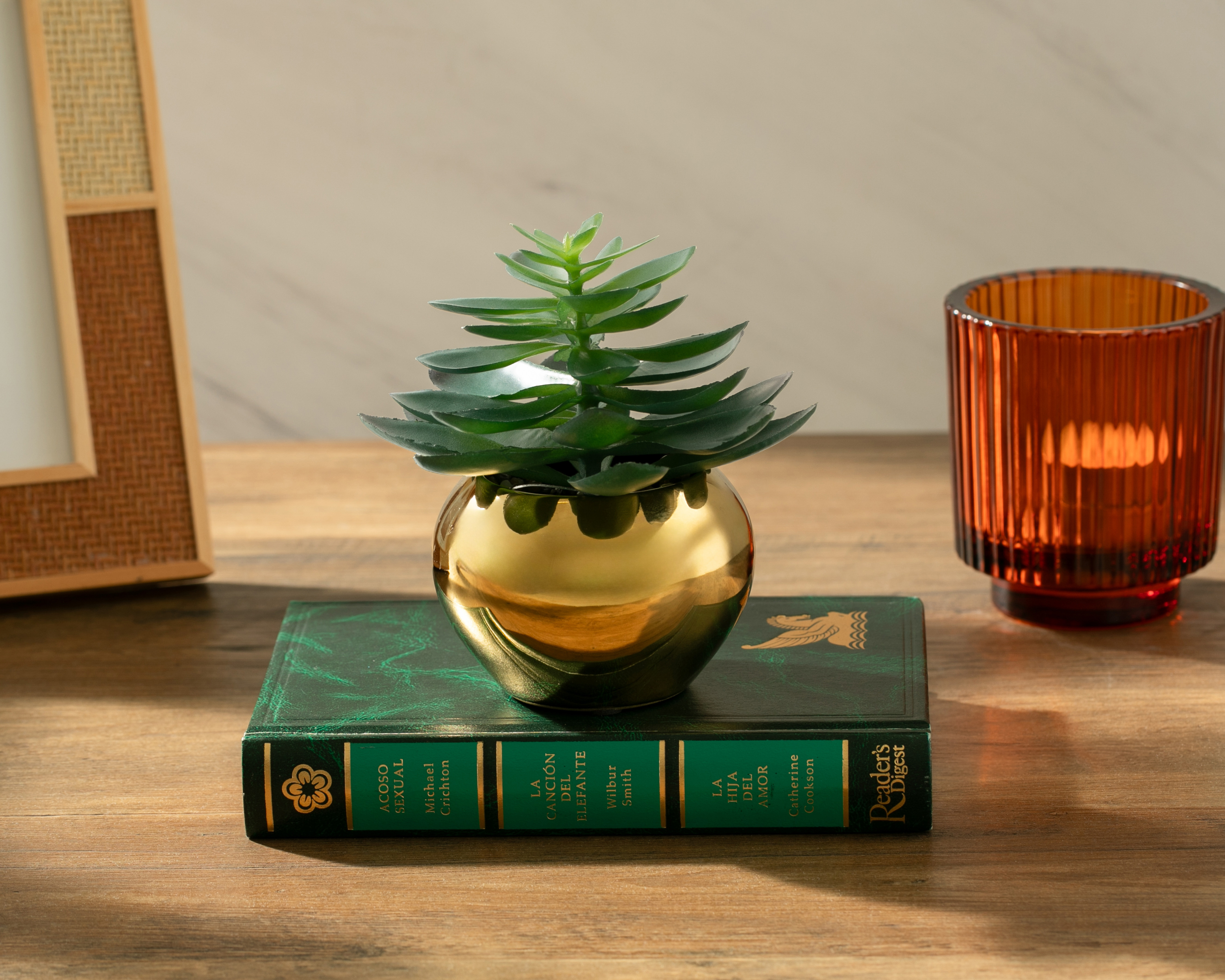 Foto 5 pulgar | Foto 4 | Crassula Artificial con Maceta Starhaus 9.5 cm