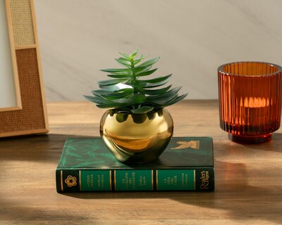 Foto 4 | Foto 4 | Crassula Artificial con Maceta Starhaus 9.5 cm