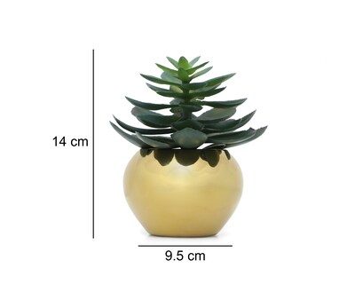 Foto 5 | Foto 5 | Crassula Artificial con Maceta Starhaus 9.5 cm