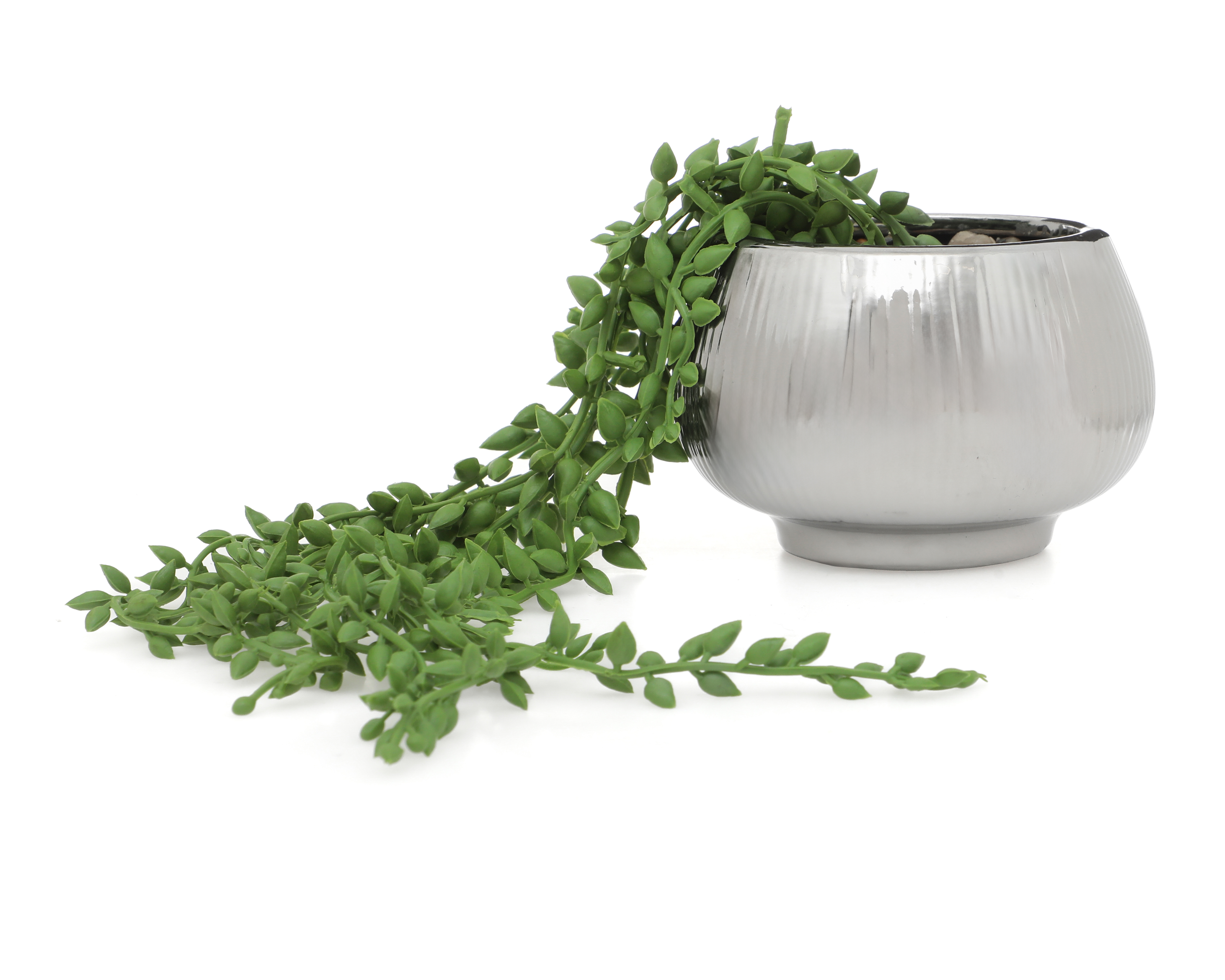 Senecio Artificial con Maceta Starhaus 8.5 cm