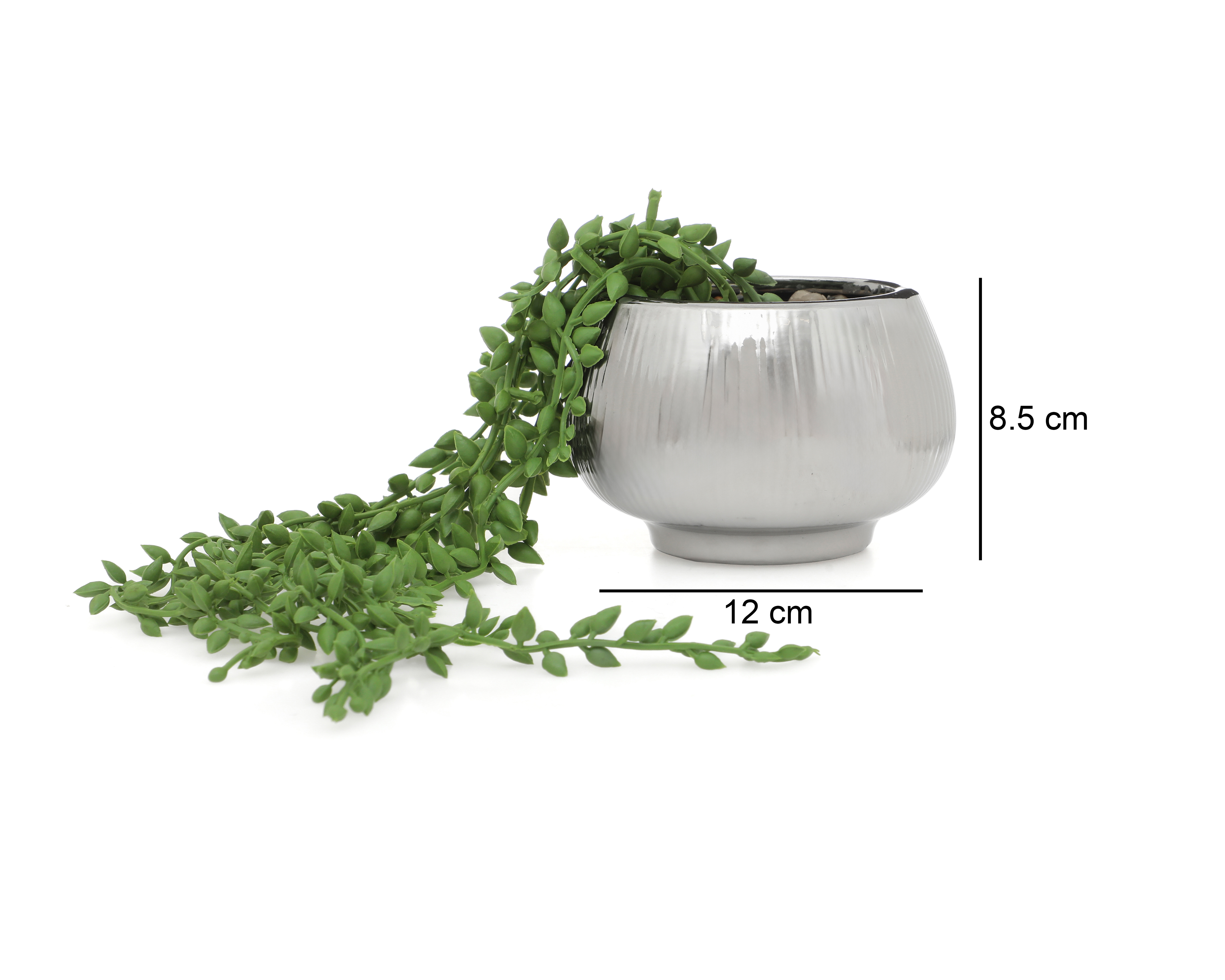 Foto 5 | Foto 5 | Senecio Artificial con Maceta Starhaus 8.5 cm