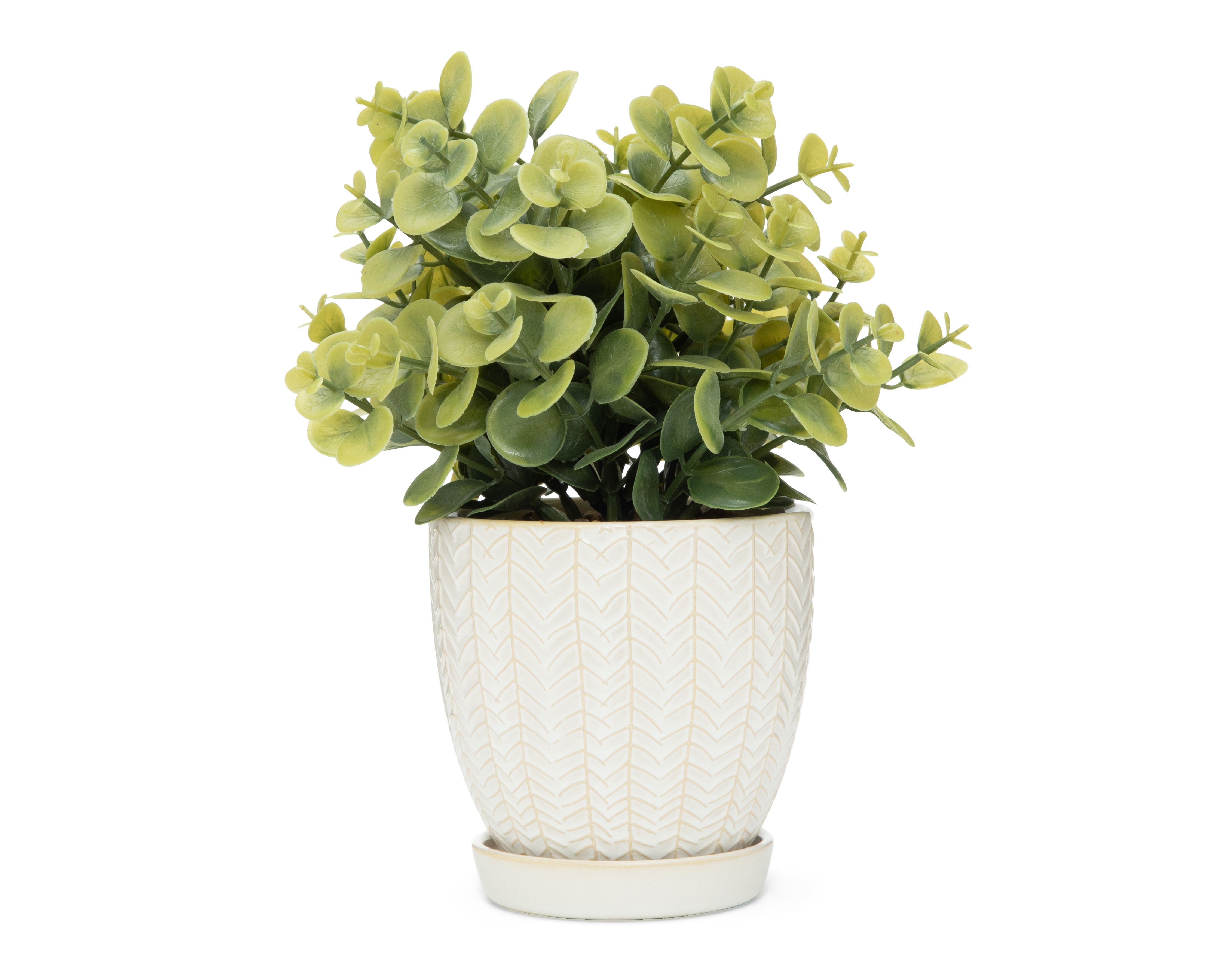 Foto 1 | Foto 1 | Eucalipto Artificial con Maceta Starhaus 25 cm