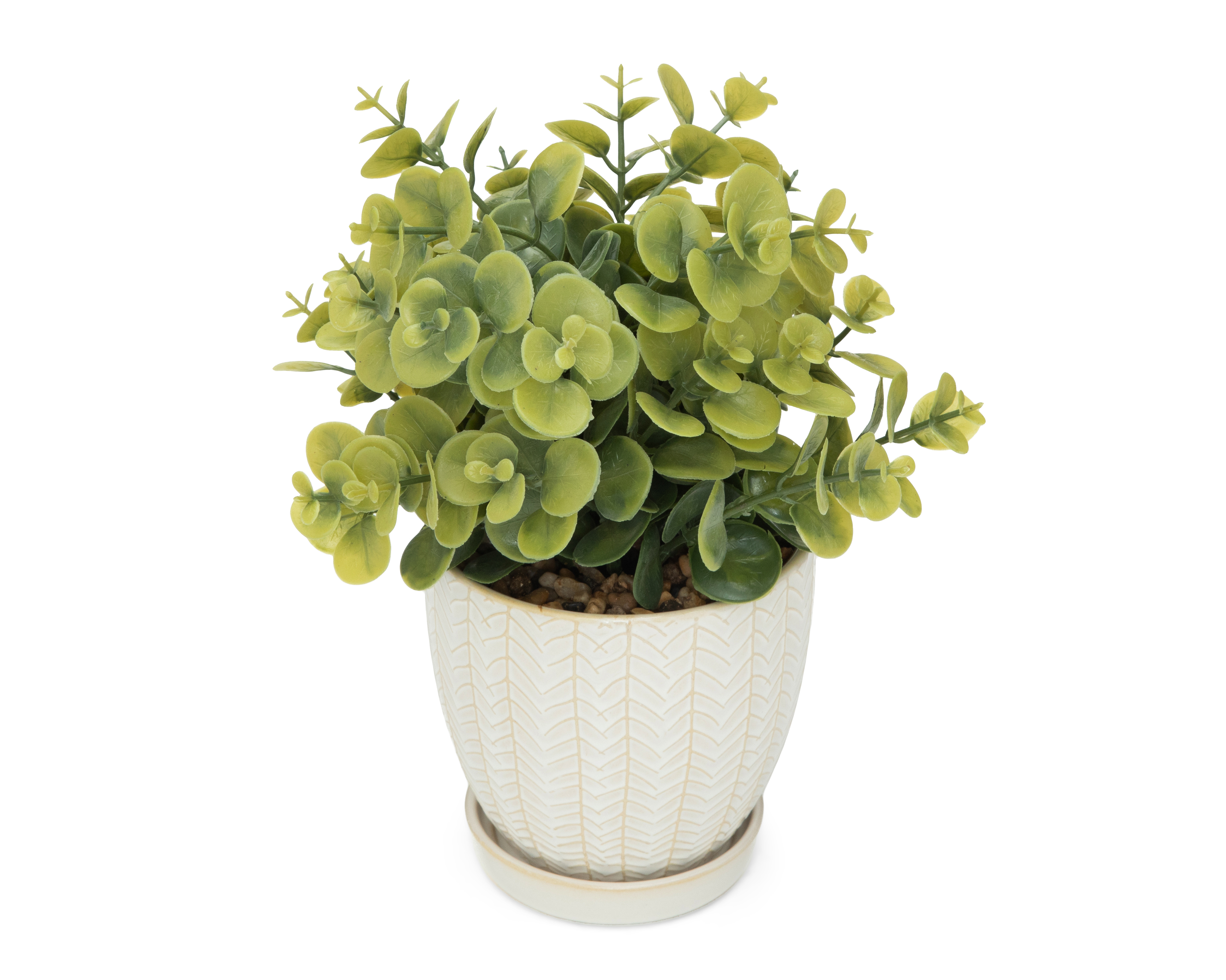 Foto 2 | Foto 2 | Eucalipto Artificial con Maceta Starhaus 25 cm