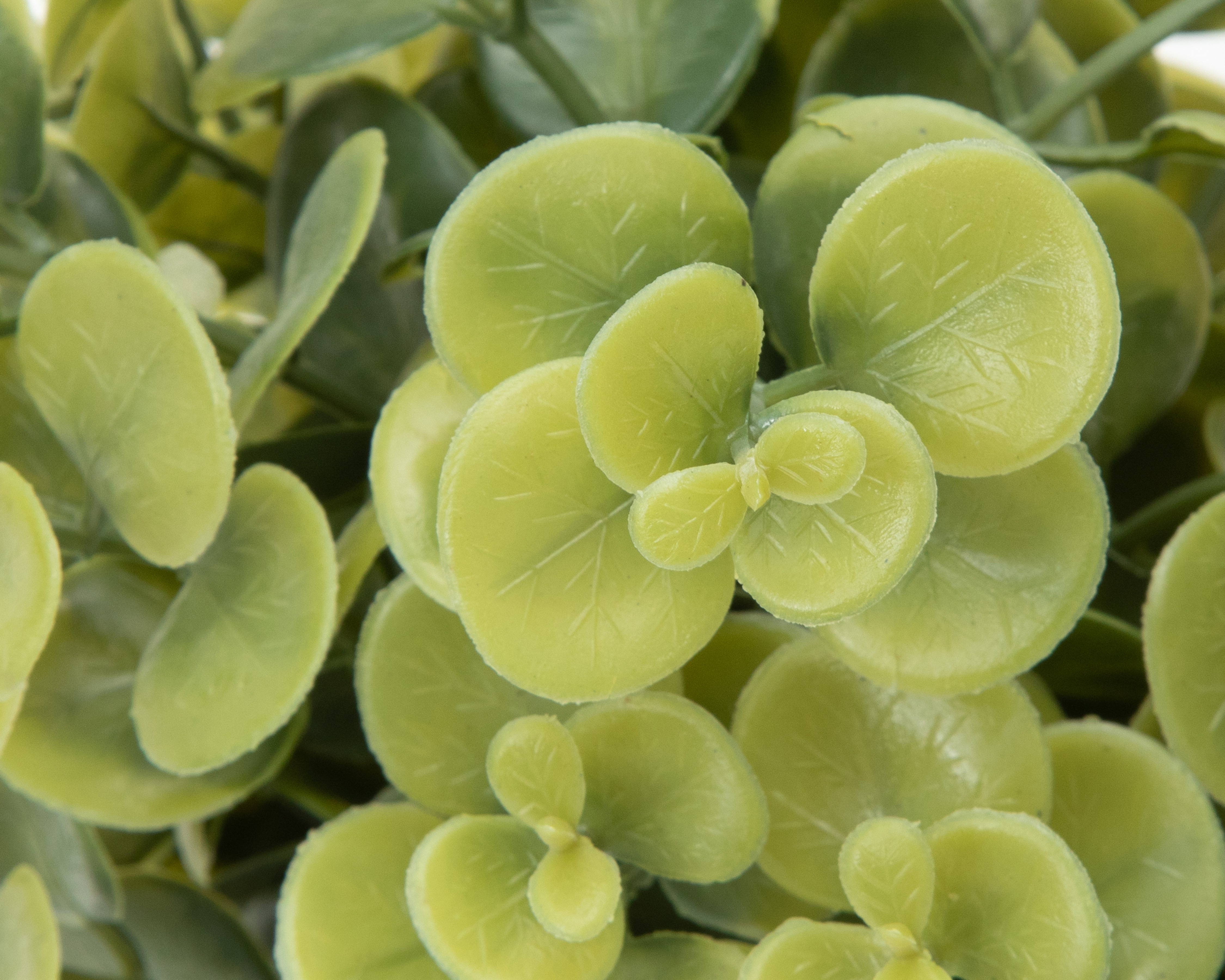 Foto 4 pulgar | Foto 3 | Eucalipto Artificial con Maceta Starhaus 25 cm