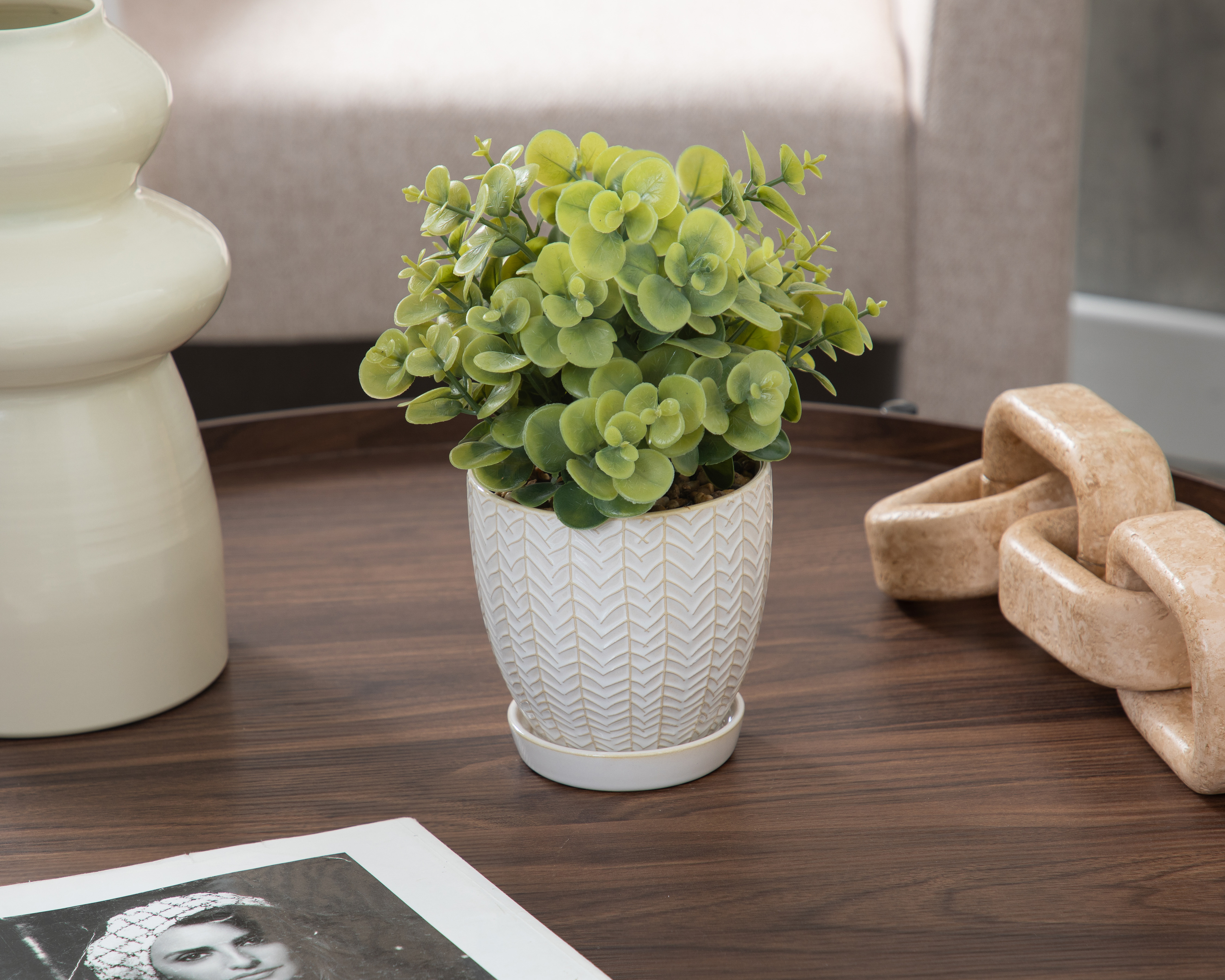 Foto 5 pulgar | Foto 4 | Eucalipto Artificial con Maceta Starhaus 25 cm