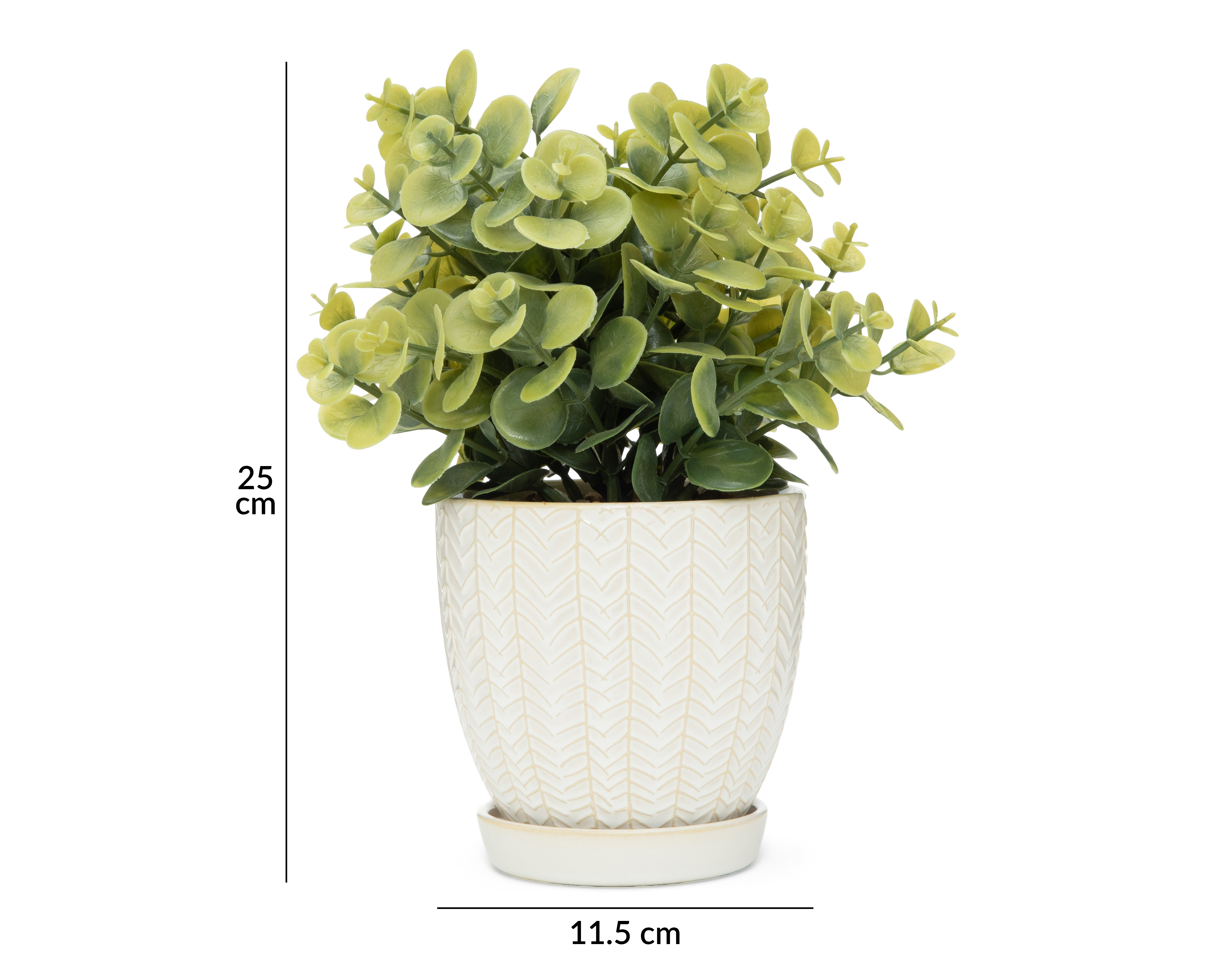 Foto 5 | Foto 5 | Eucalipto Artificial con Maceta Starhaus 25 cm