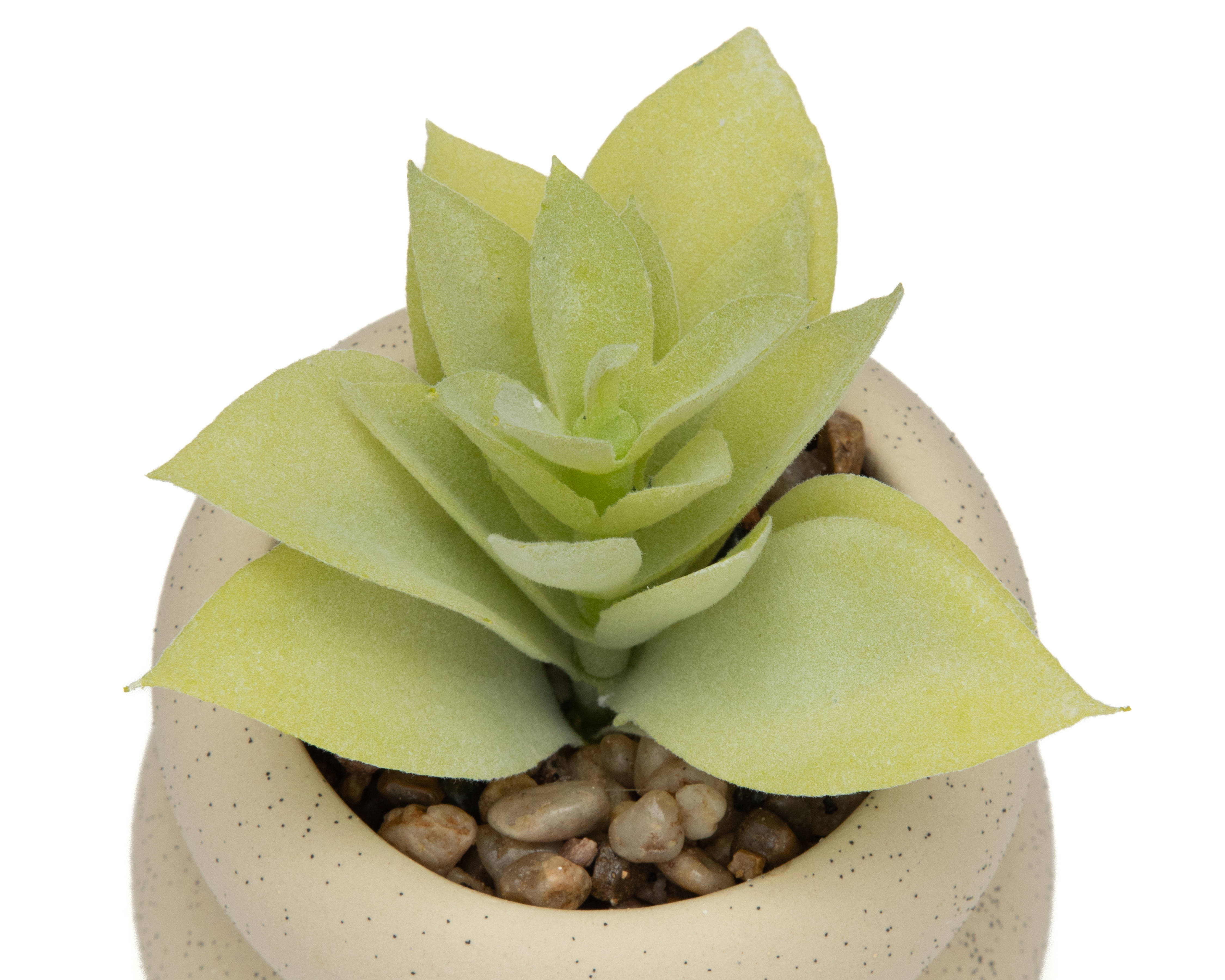 Foto 3 | Foto 3 | Suculenta Artificial Starhaus Safre 11 cm