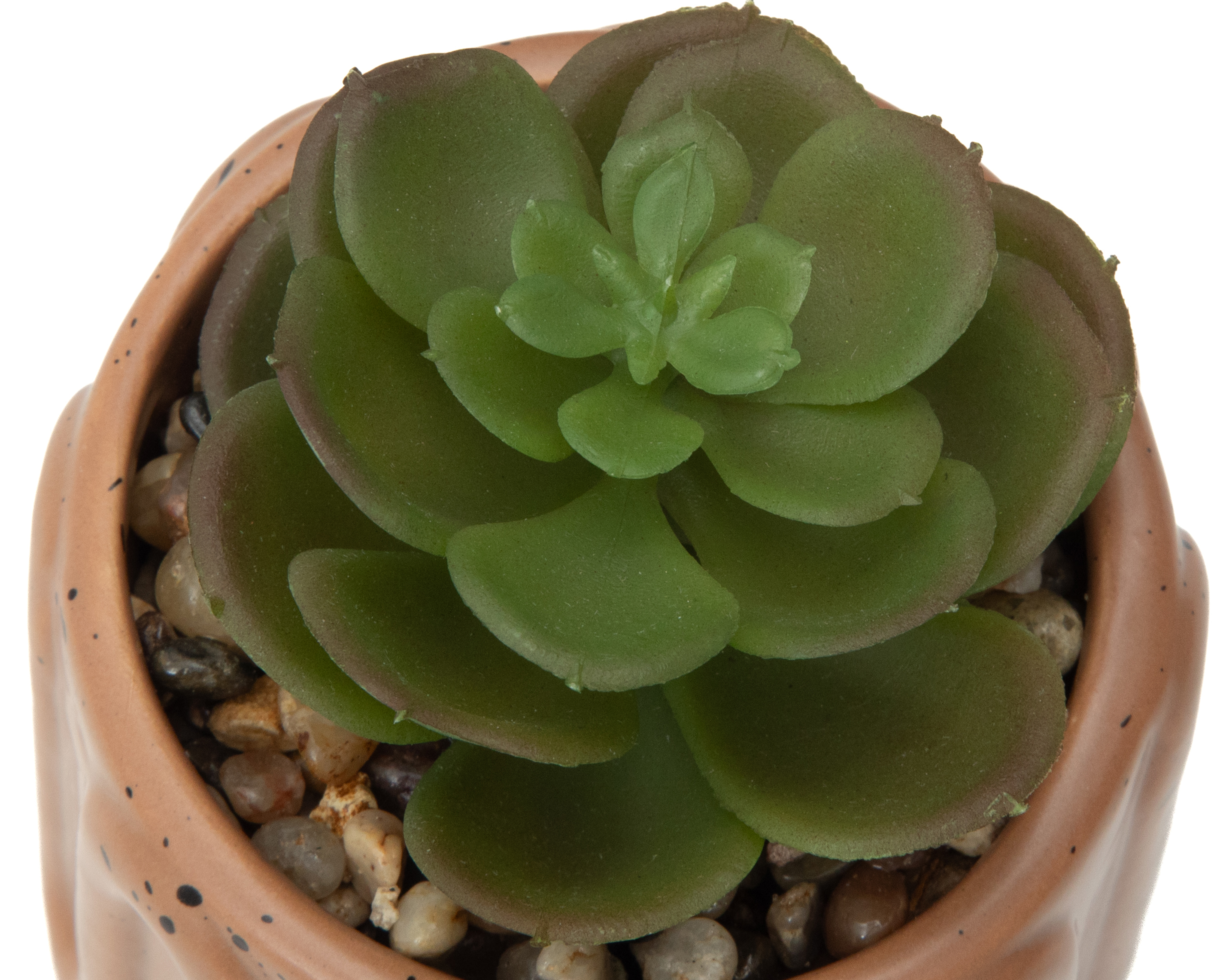 Foto 3 | Foto 3 | Suculenta Artificial con Maceta Starhaus 9.5 cm