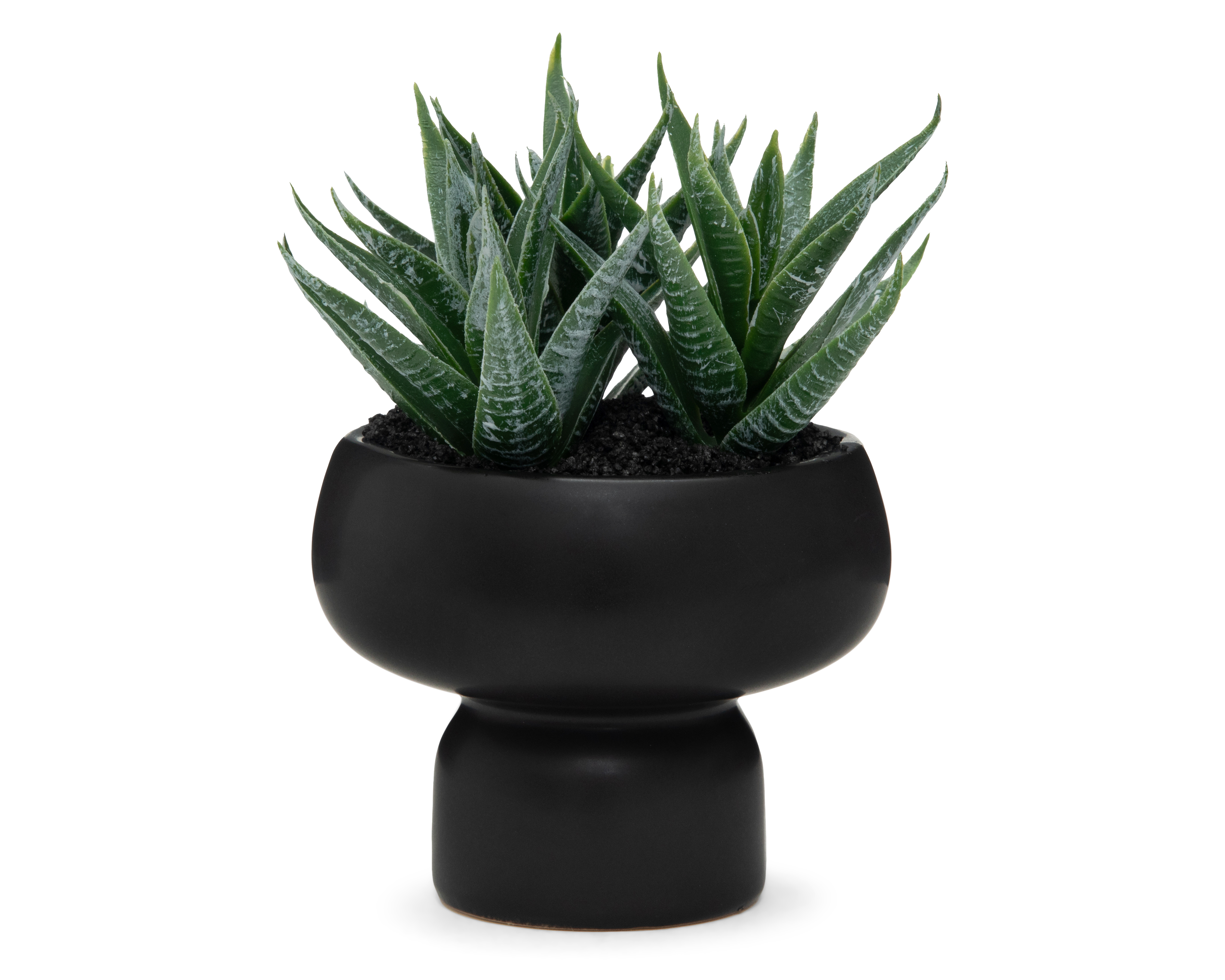 Limifolia Artificial con Maceta Starhaus 15.5 cm