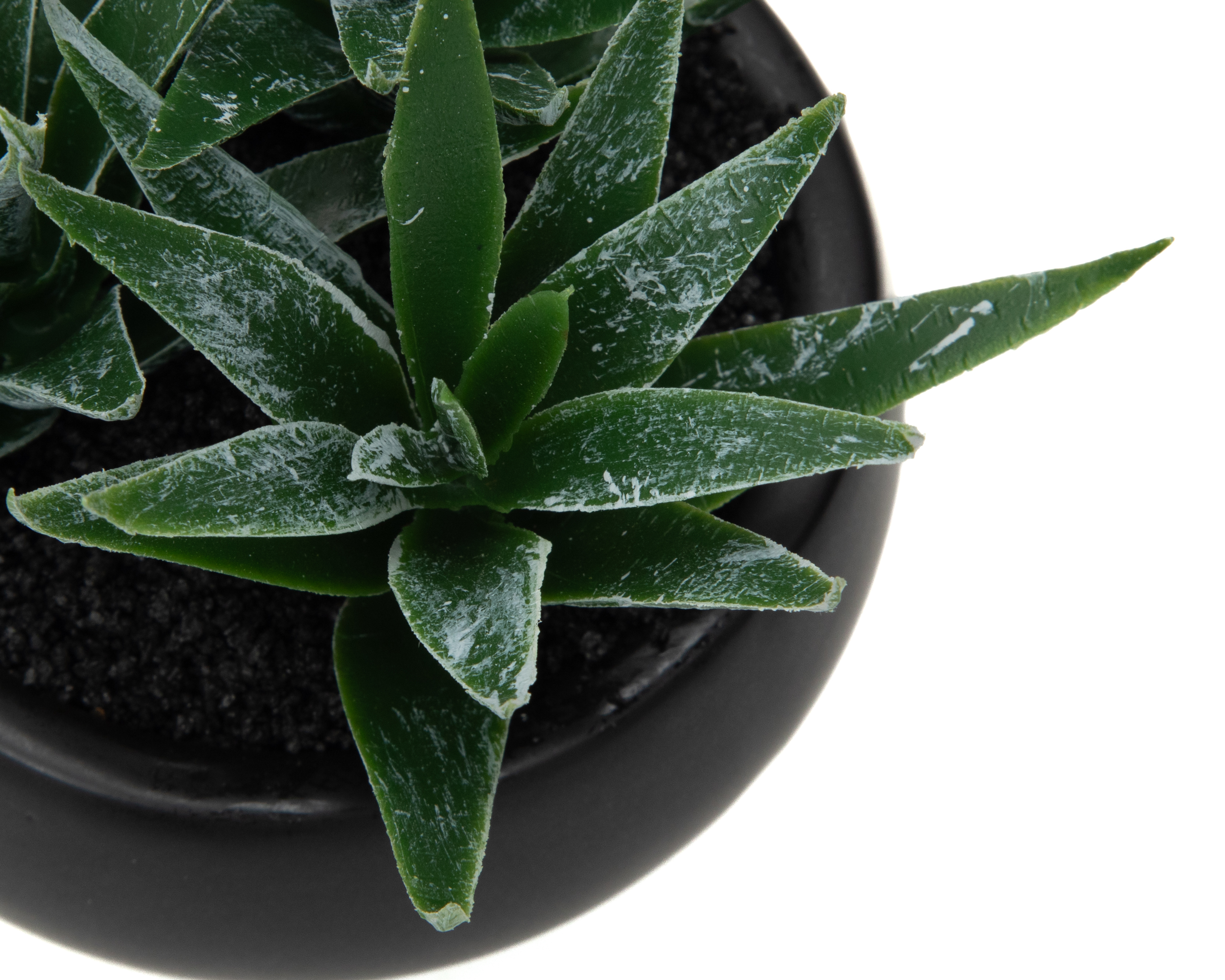 Foto 4 pulgar | Foto 3 | Limifolia Artificial con Maceta Starhaus 15.5 cm