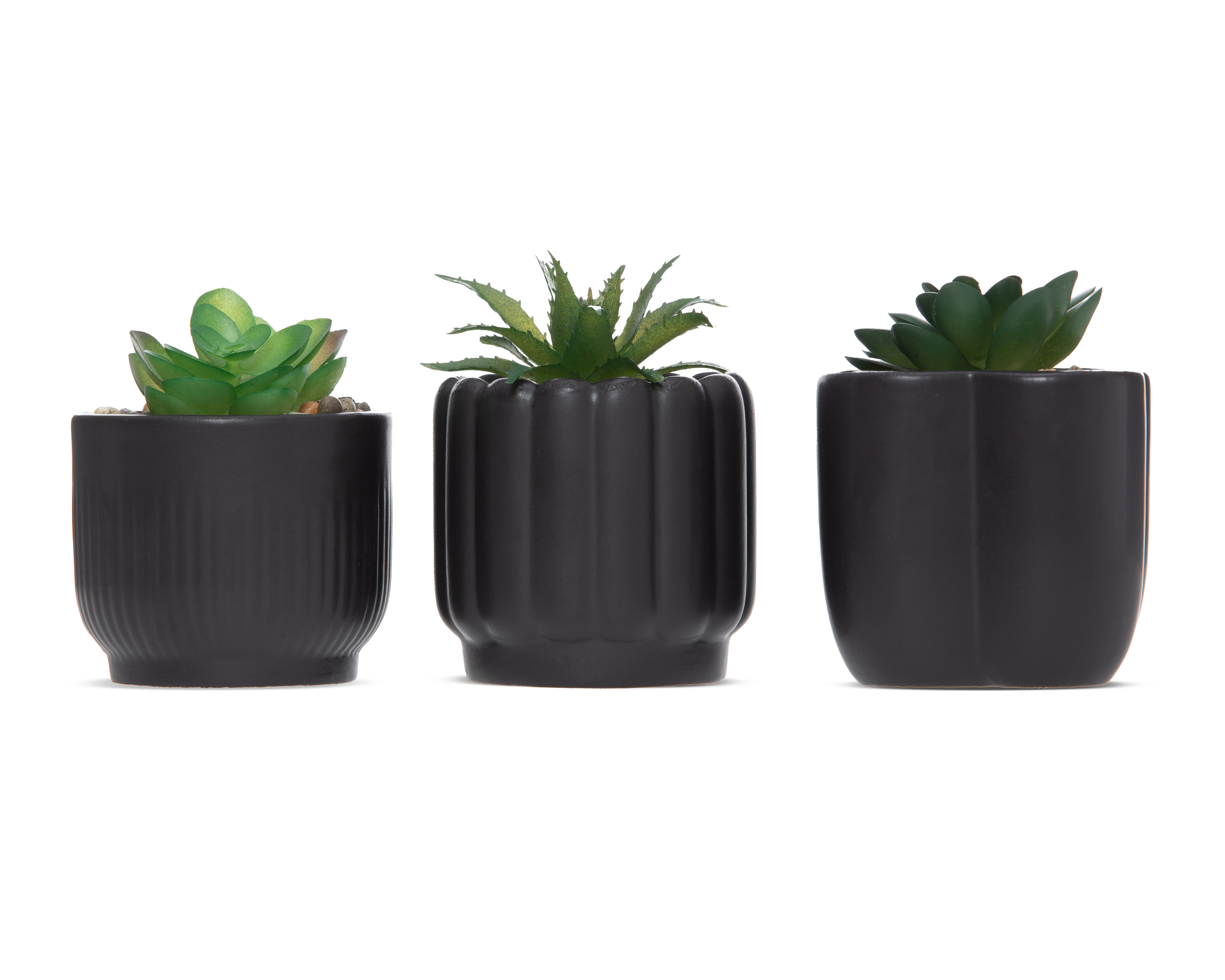 Suculenta Artificial con Maceta Starhaus 9.5 cm