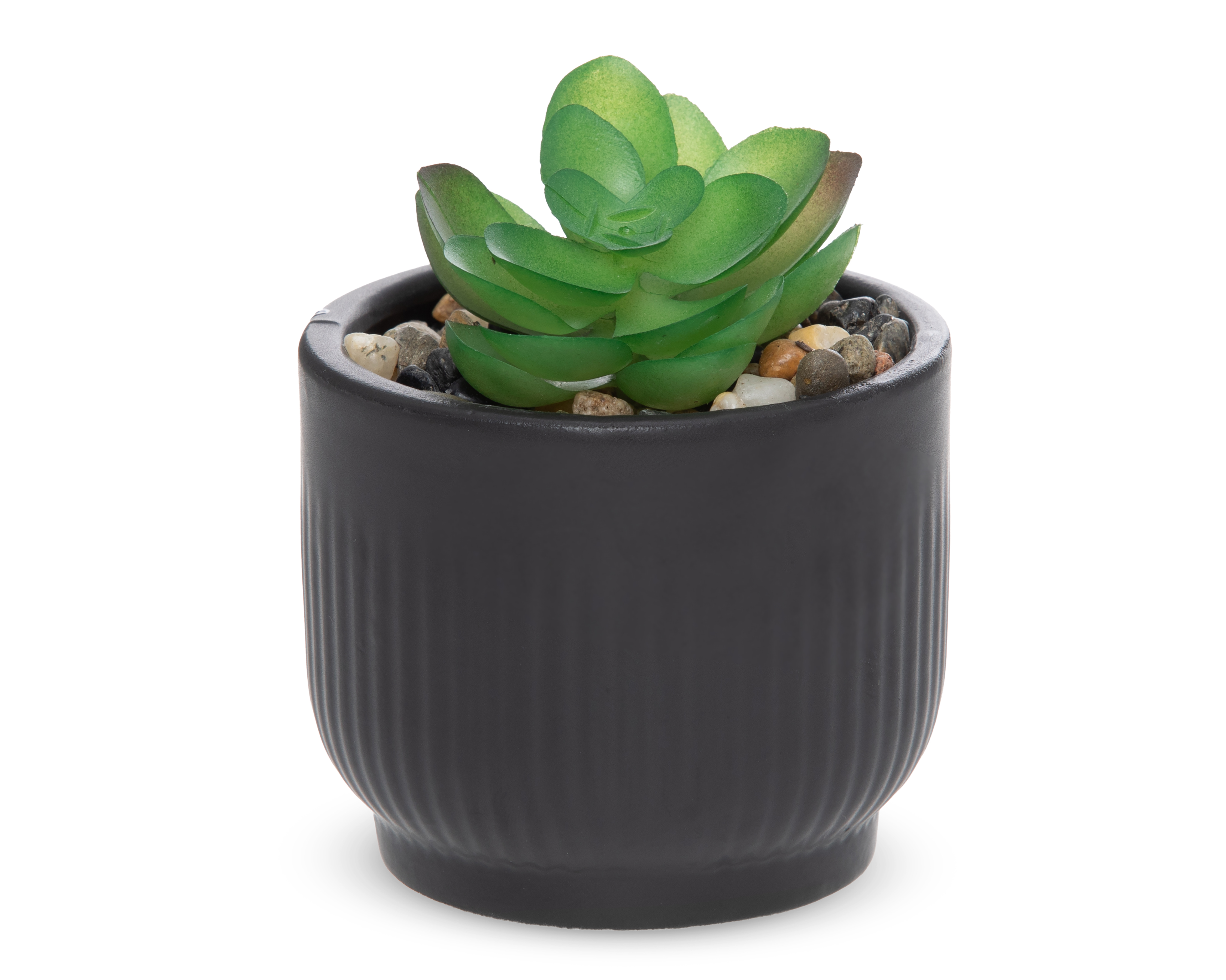 Foto 2 | Foto 2 | Suculenta Artificial con Maceta Starhaus 9.5 cm