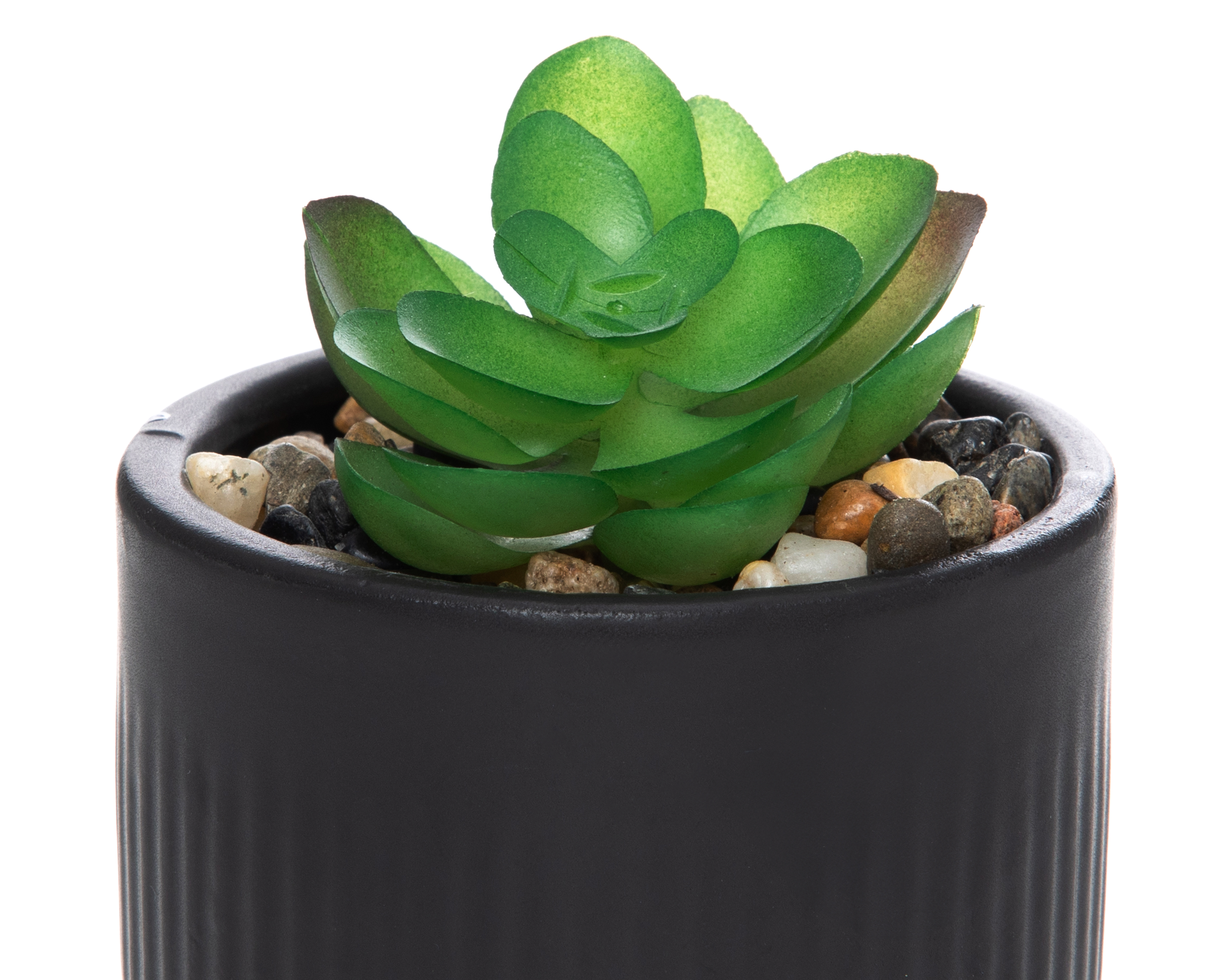 Foto 3 | Foto 3 | Suculenta Artificial con Maceta Starhaus 9.5 cm