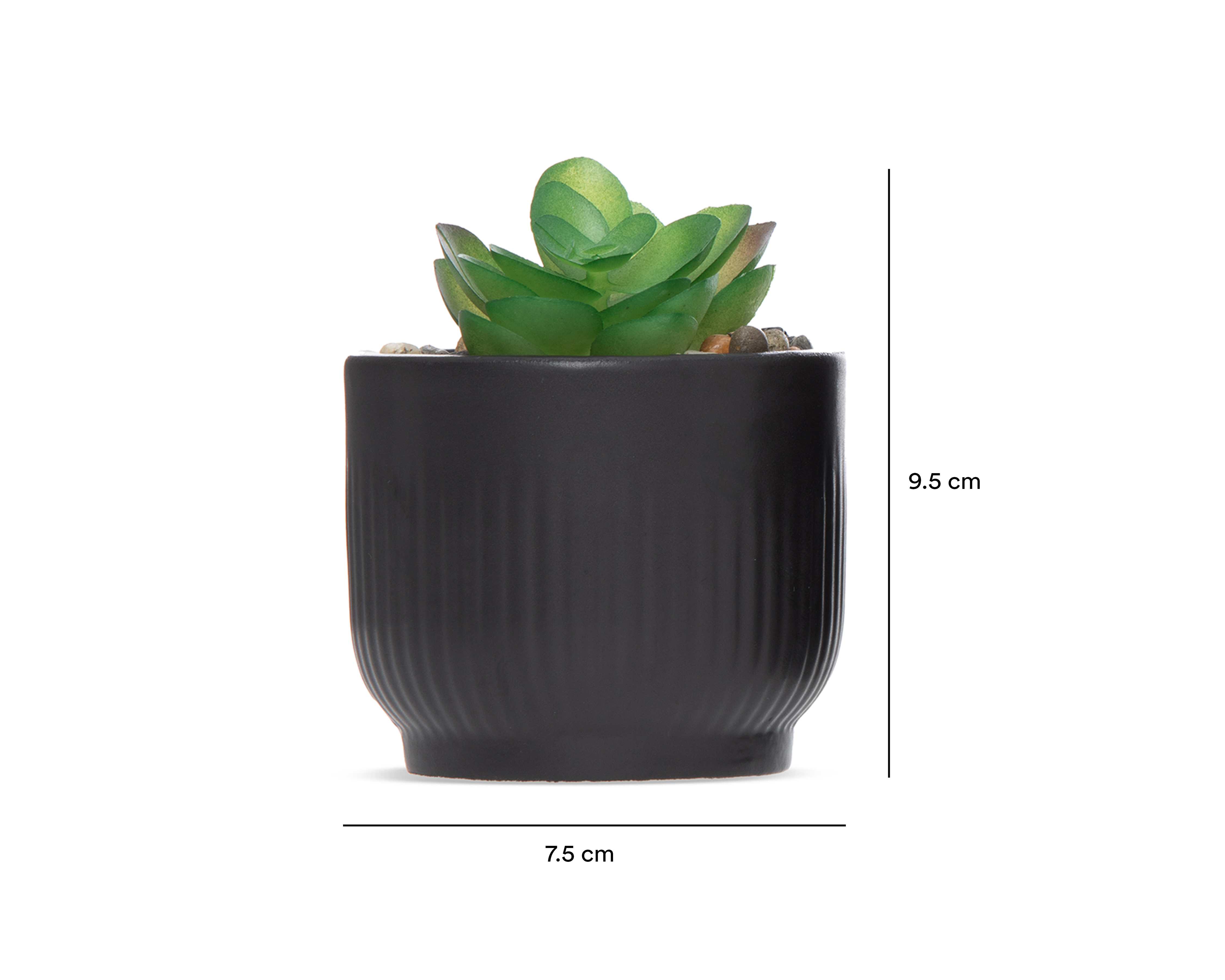 Foto 5 | Foto 5 | Suculenta Artificial con Maceta Starhaus 9.5 cm