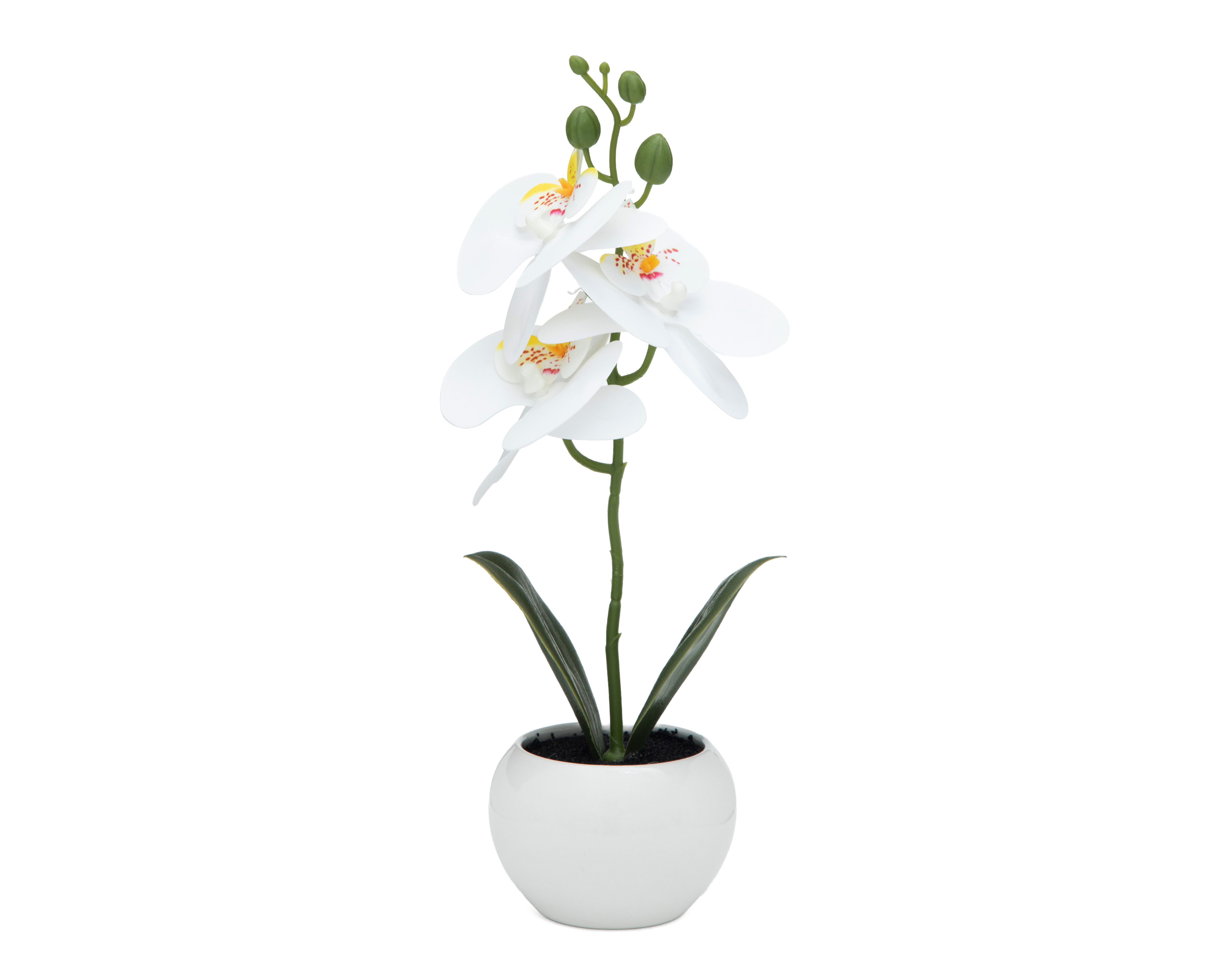 Orquídea Artificial con Maceta Starhaus 33 cm