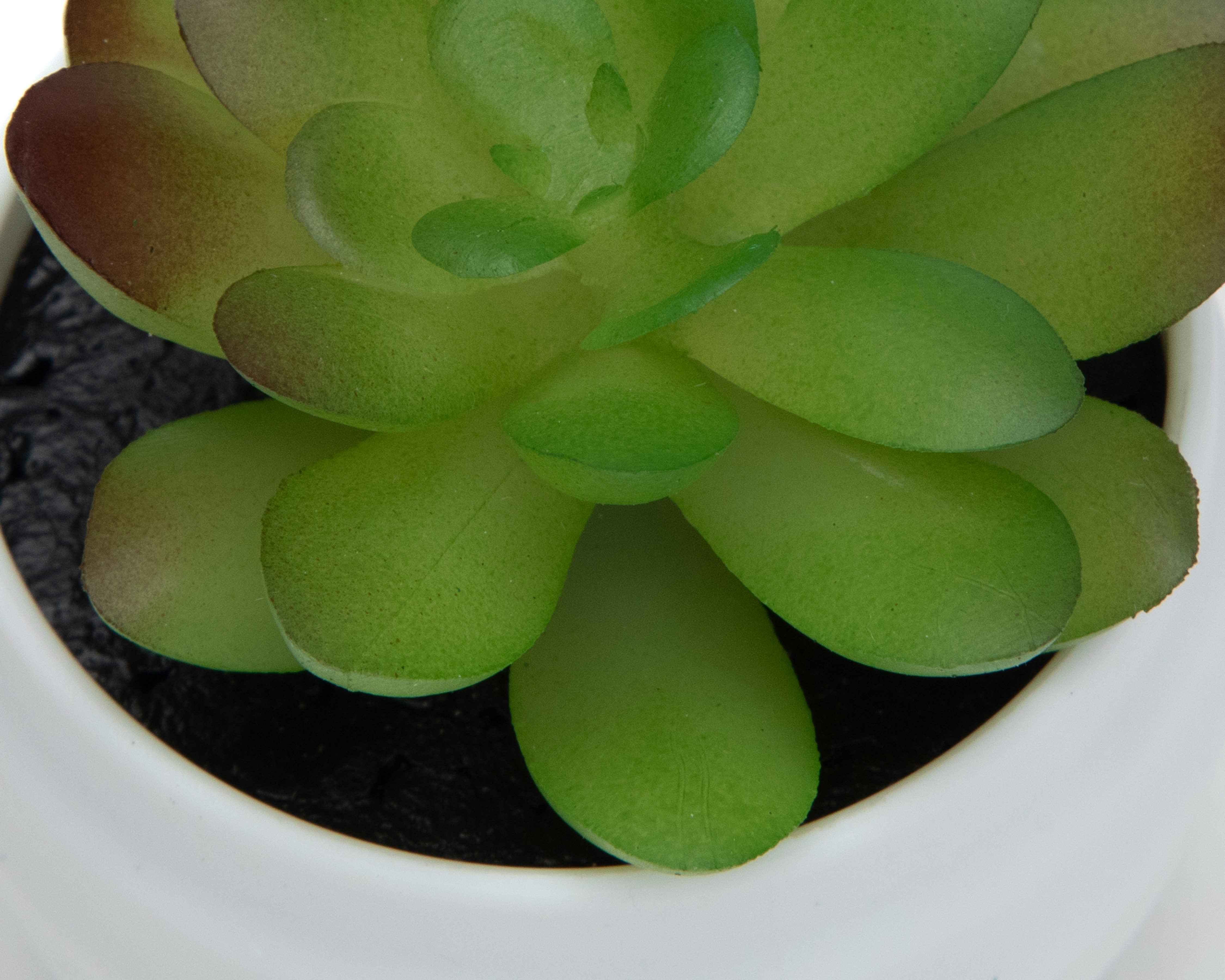 Foto 4 pulgar | Foto 3 | Suculenta con Maceta Starhaus 3 Piezas