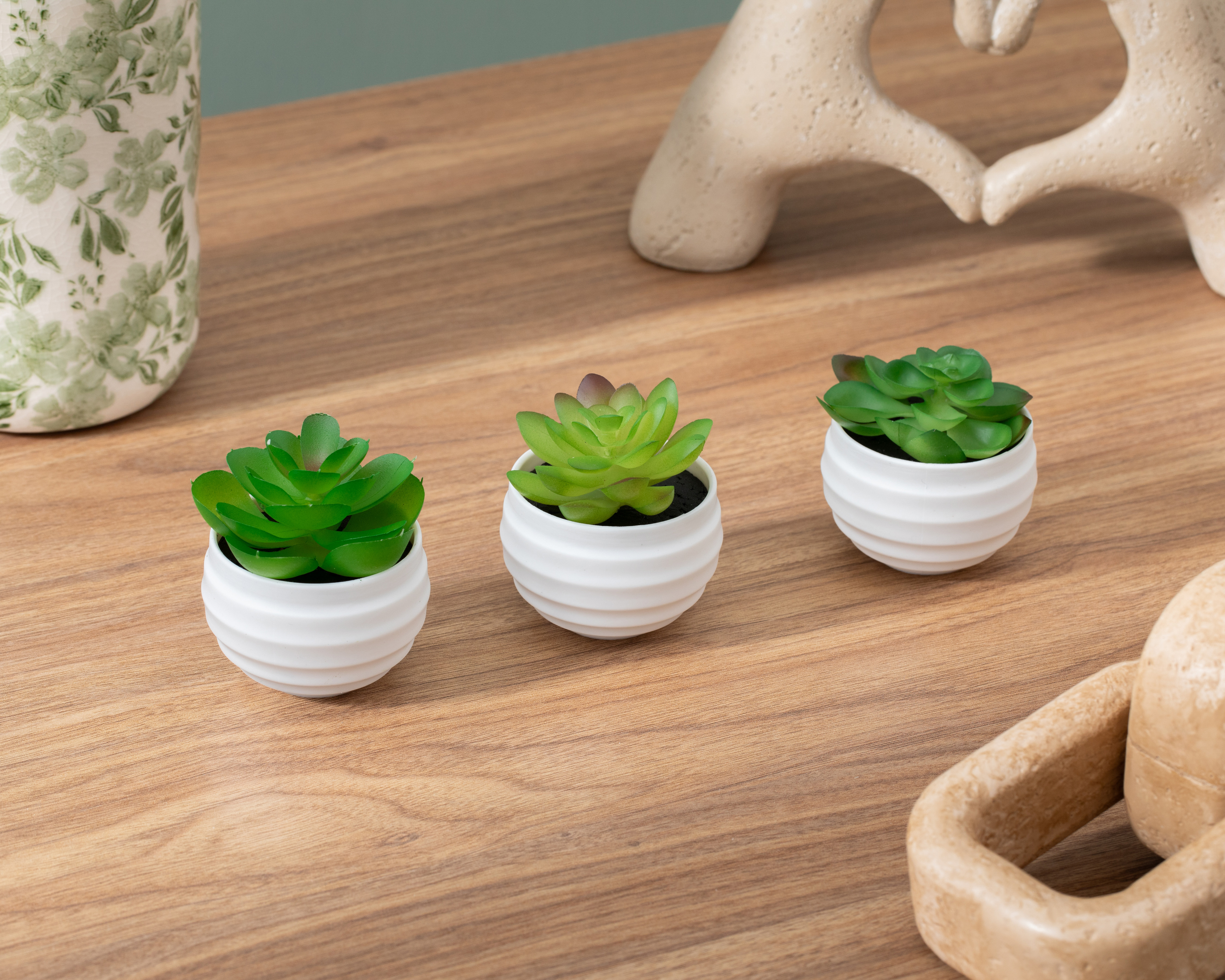 Foto 5 pulgar | Foto 4 | Suculenta con Maceta Starhaus 3 Piezas