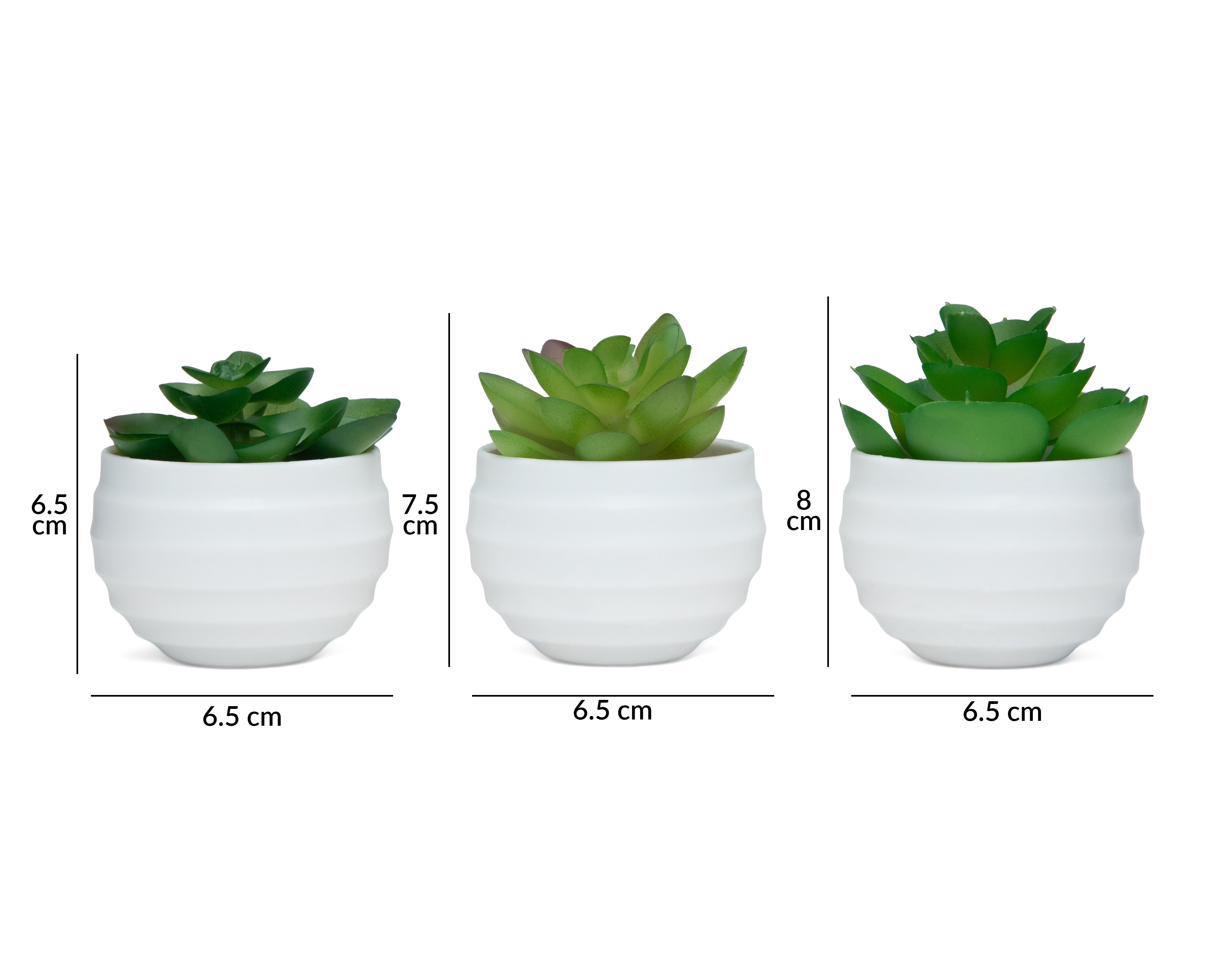 Foto 5 | Foto 5 | Suculenta con Maceta Starhaus 3 Piezas