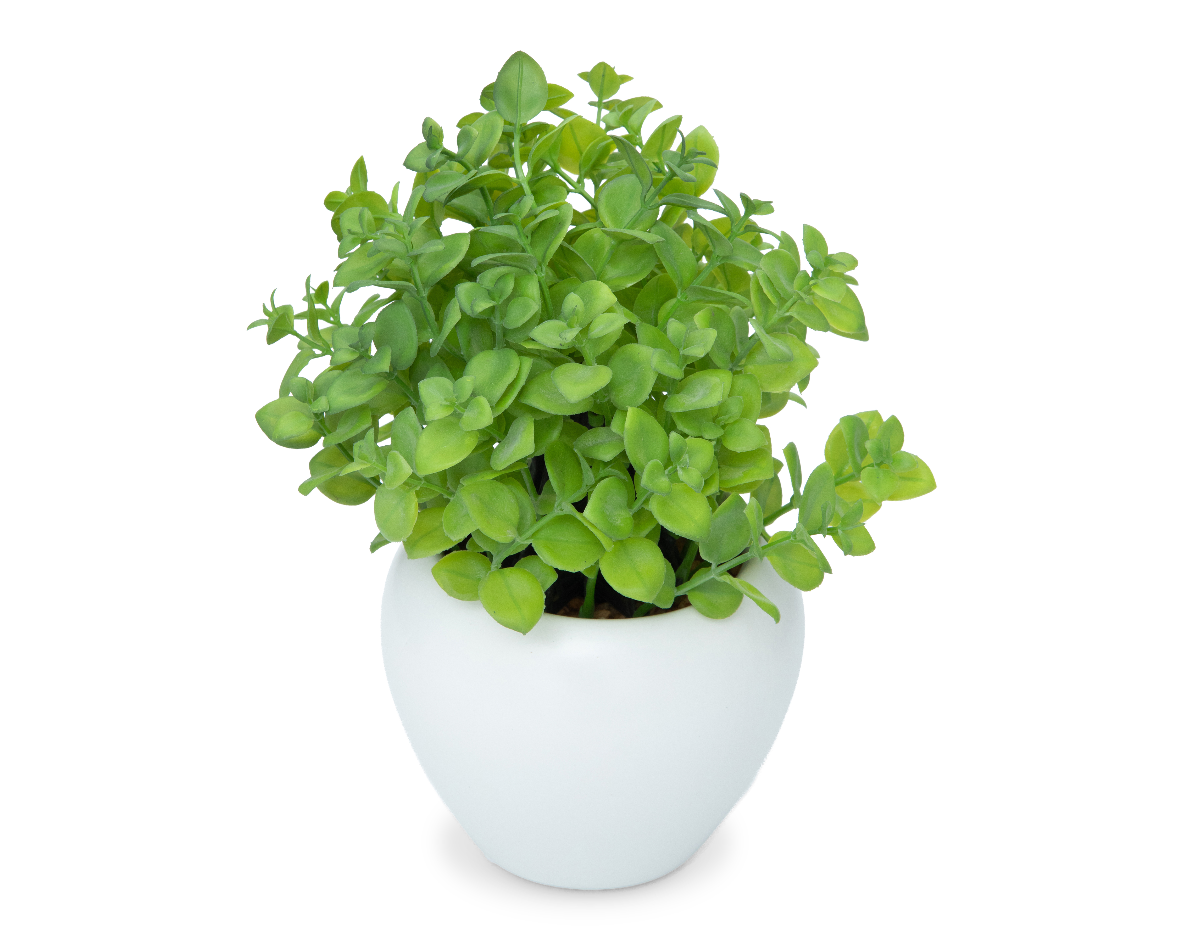 Foto 2 | Foto 2 | Planta Artificial con Maceta Starhaus 24 cm