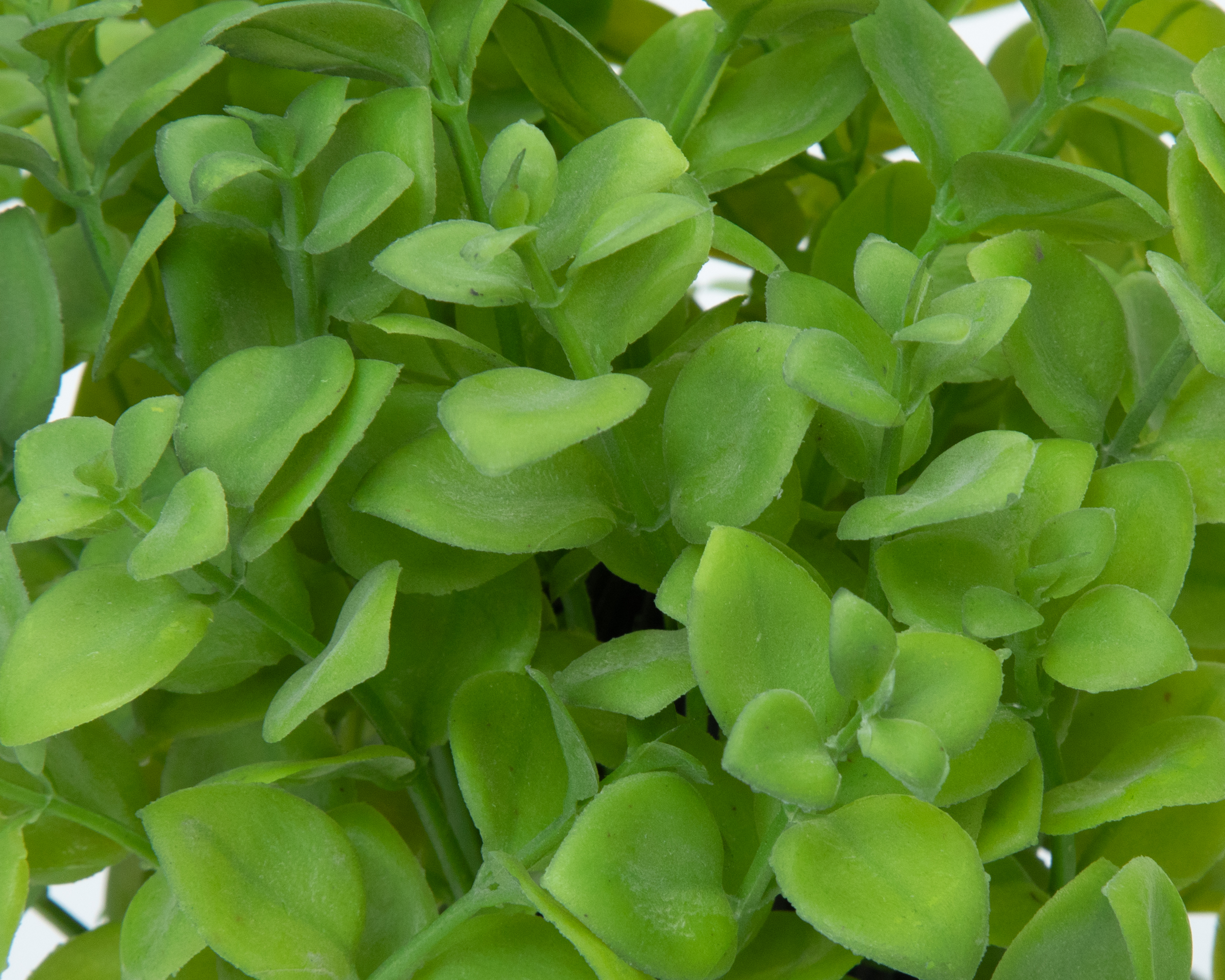 Foto 3 | Foto 3 | Planta Artificial con Maceta Starhaus 24 cm