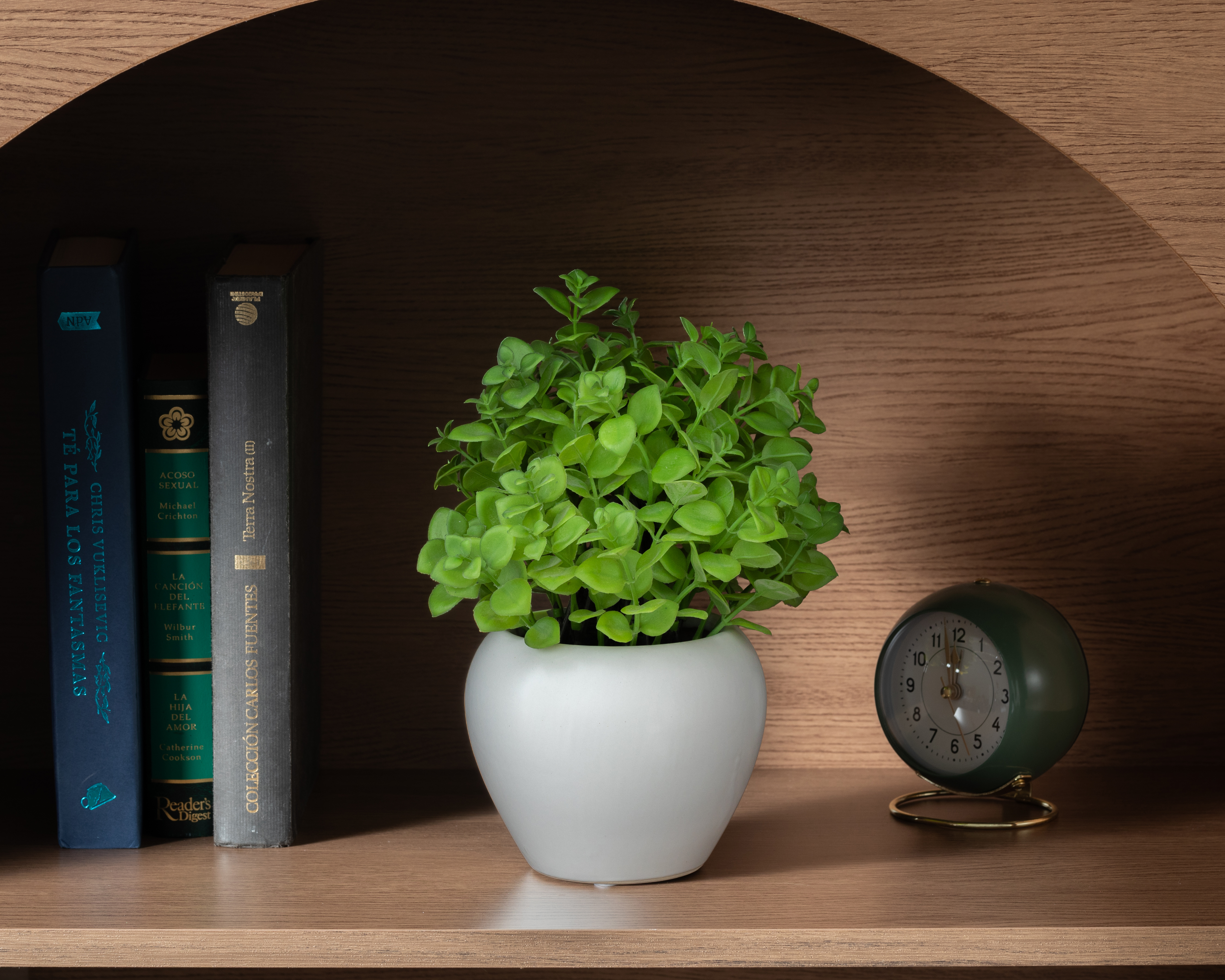 Foto 4 | Foto 4 | Planta Artificial con Maceta Starhaus 24 cm