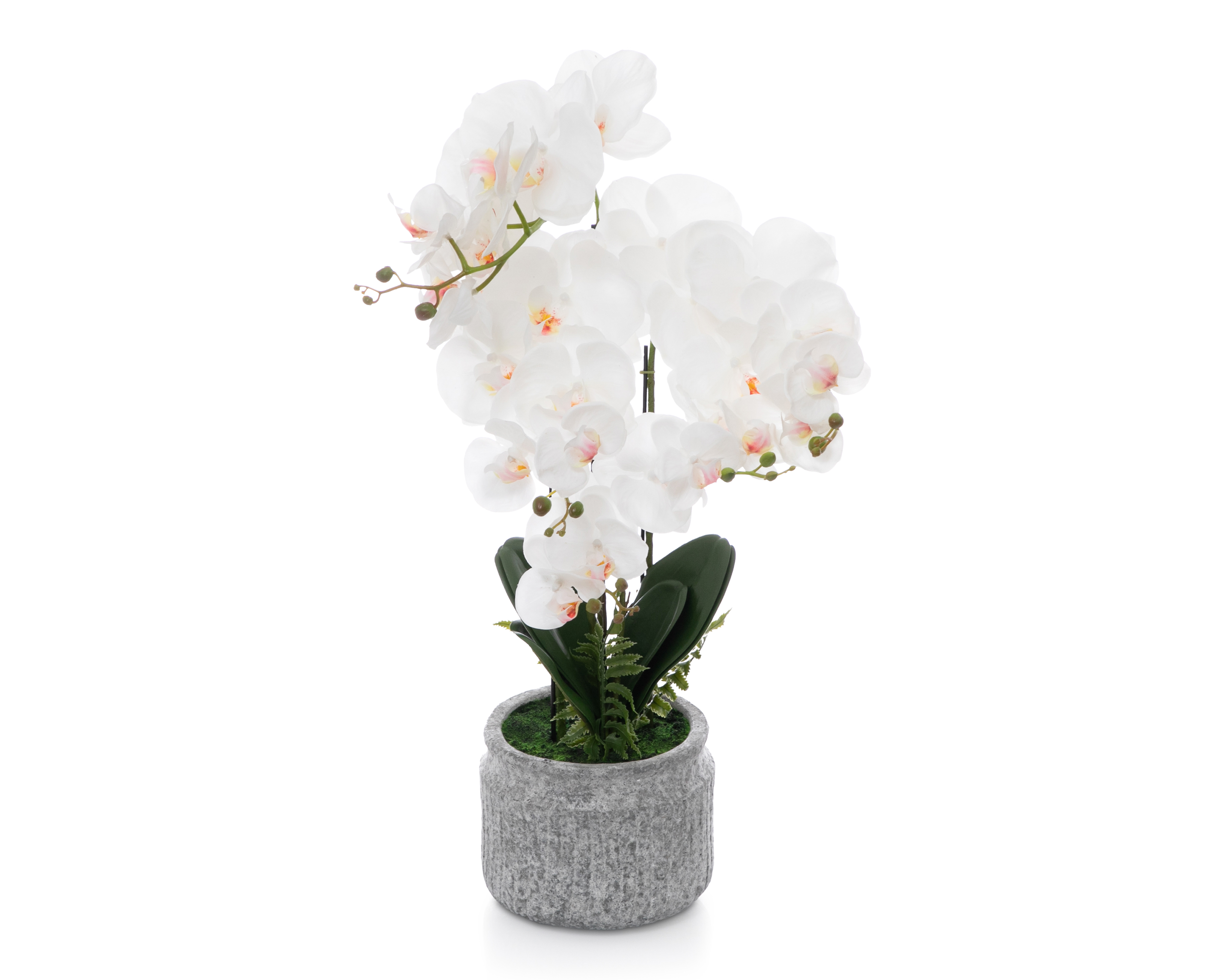 Foto 4 pulgar | Foto 3 | Orquídea Artificial con Maceta Starhaus 70 cm