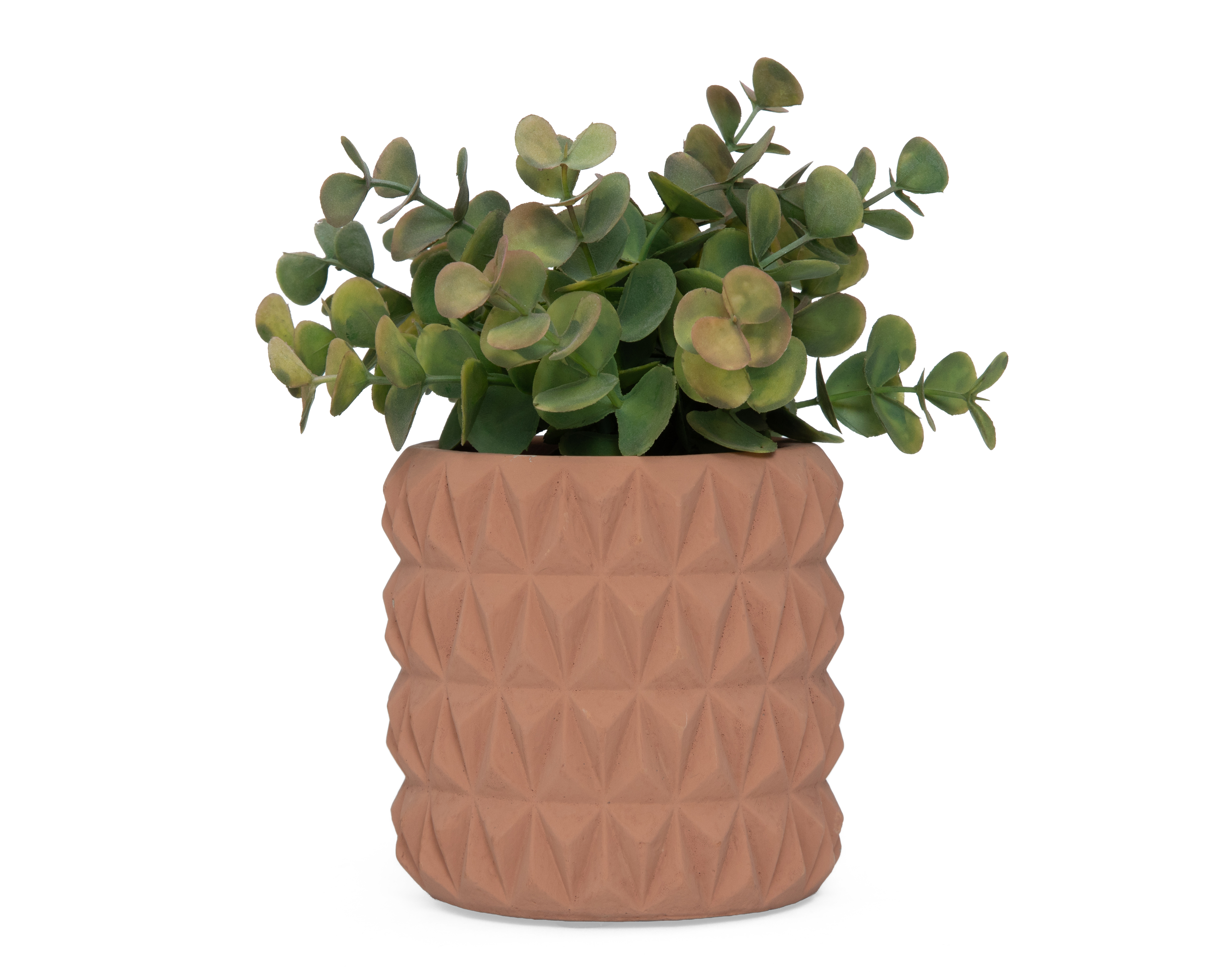 Eucalipto Artificial con Maceta Starhaus 18 cm