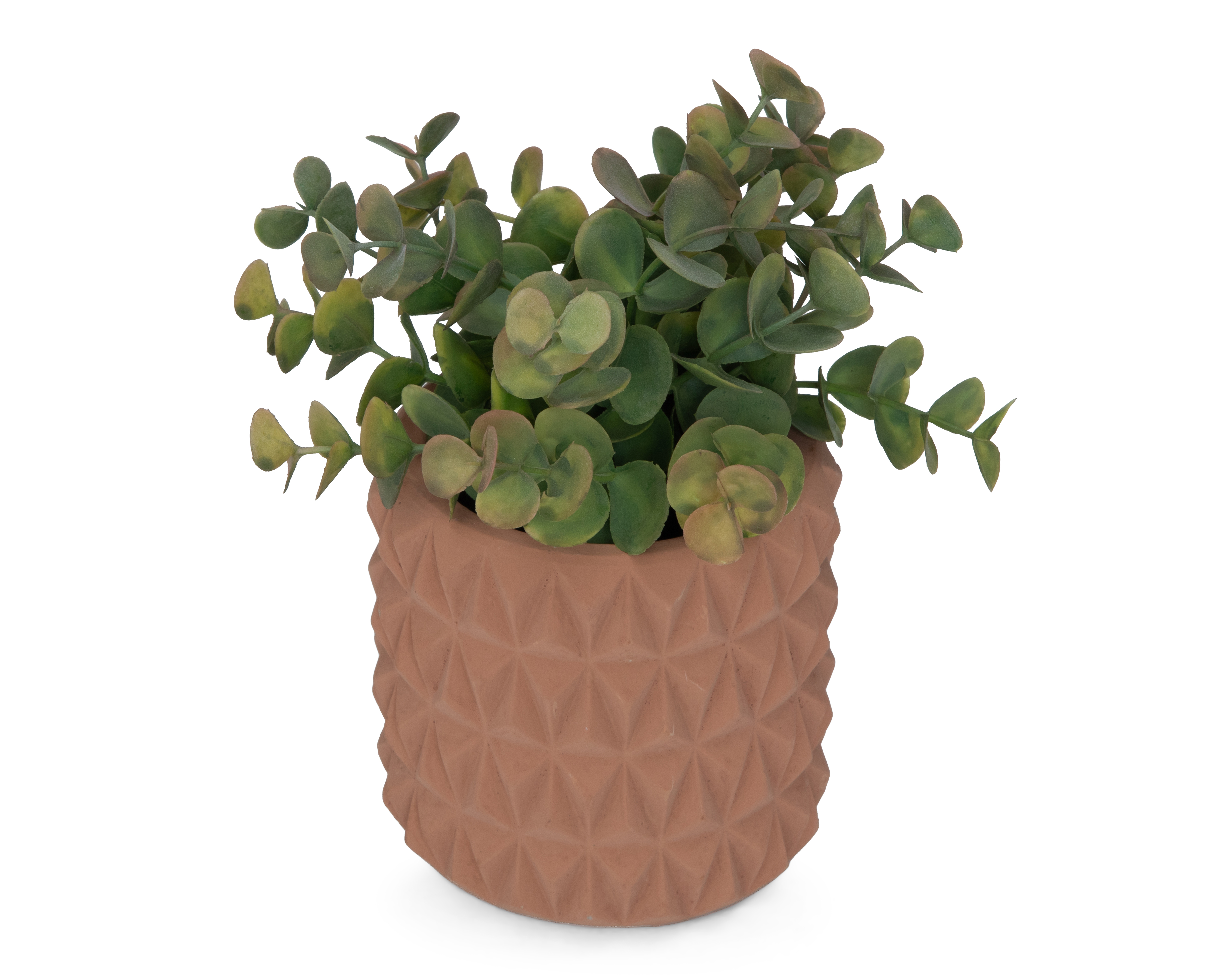 Foto 3 pulgar | Foto 2 | Eucalipto Artificial con Maceta Starhaus 18 cm