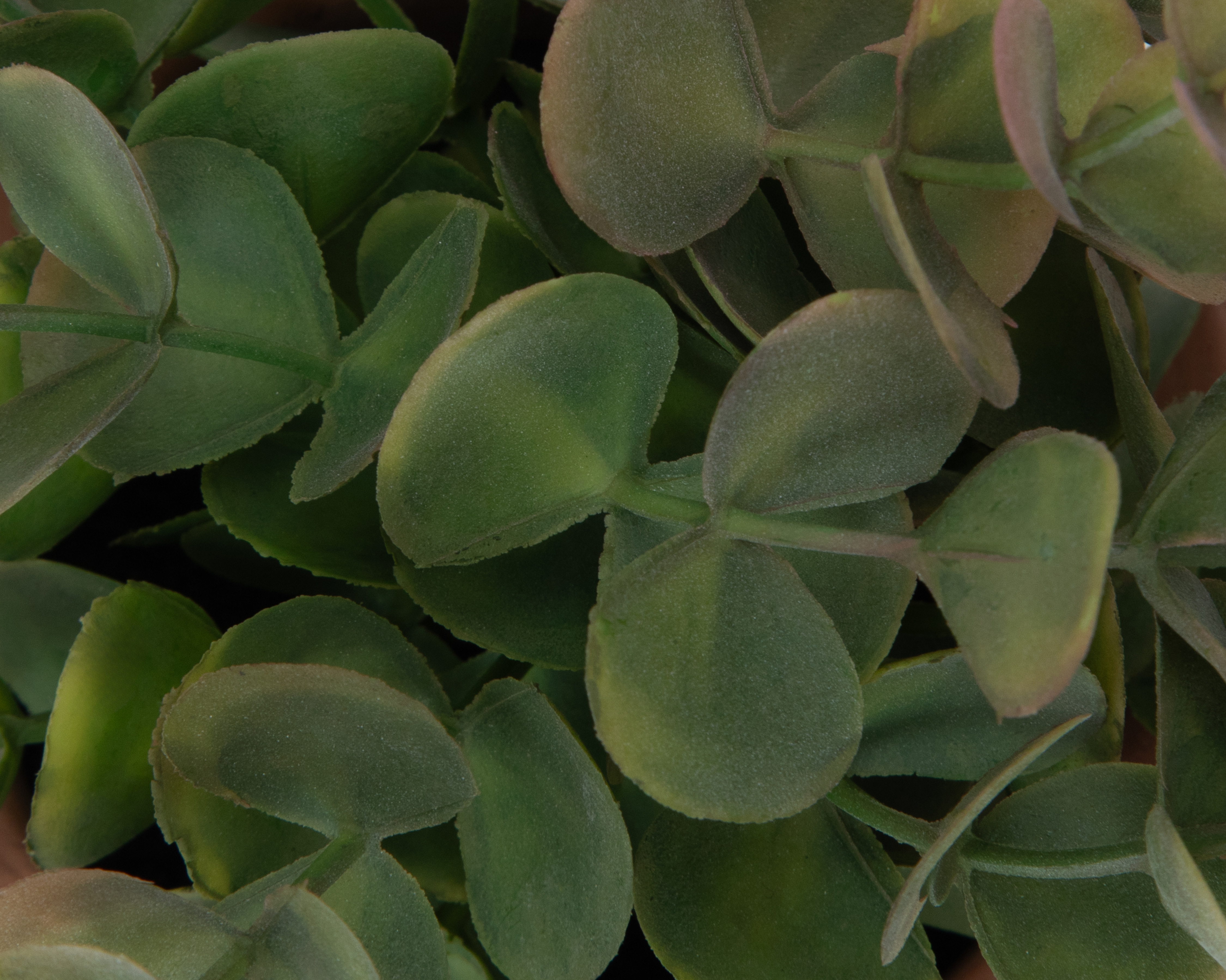 Foto 3 | Foto 3 | Eucalipto Artificial con Maceta Starhaus 18 cm