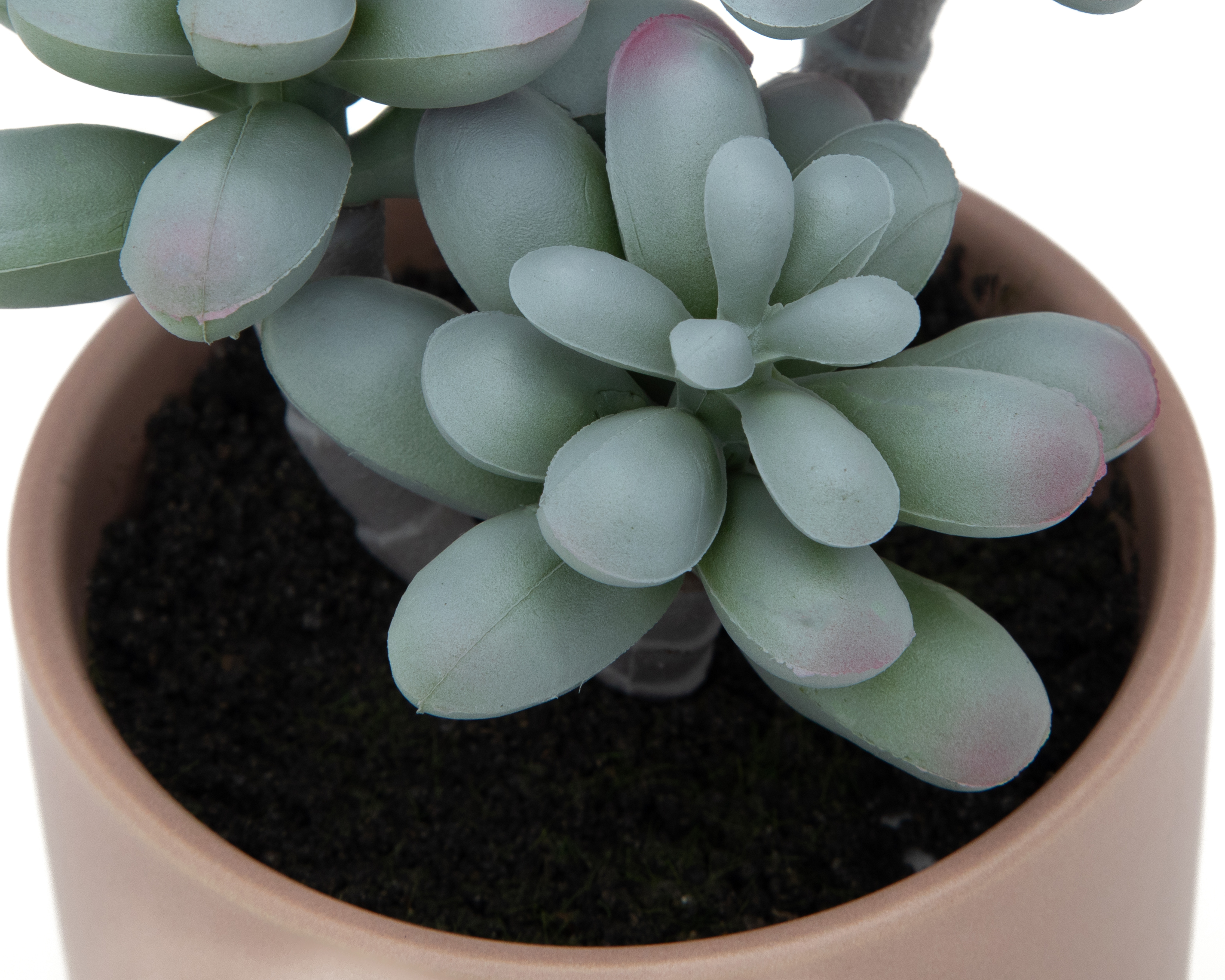 Foto 4 pulgar | Foto 3 | Suculenta Artificial con Maceta Starhaus 18 cm