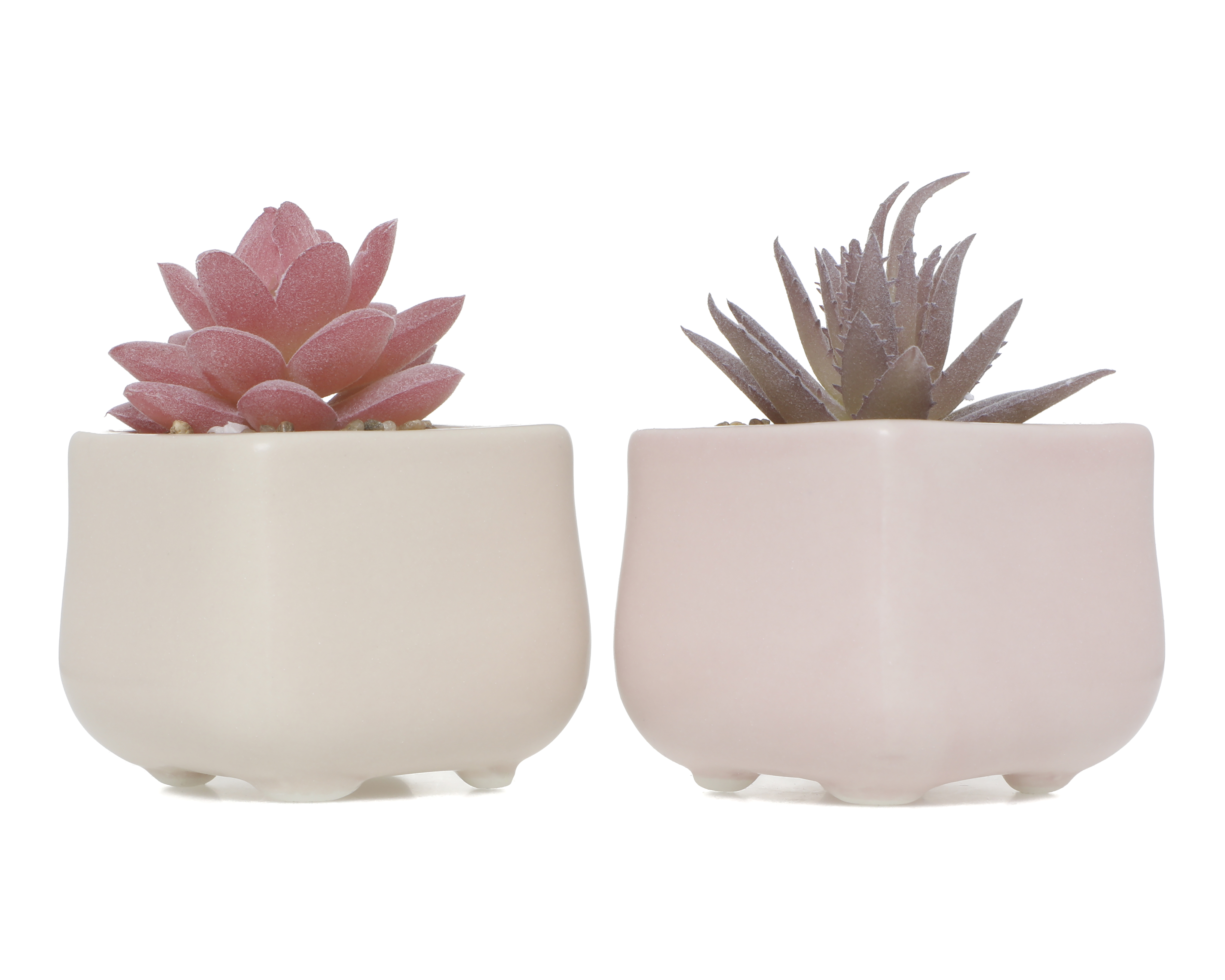 Suculenta Artificial Starhaus Vert 10 cm