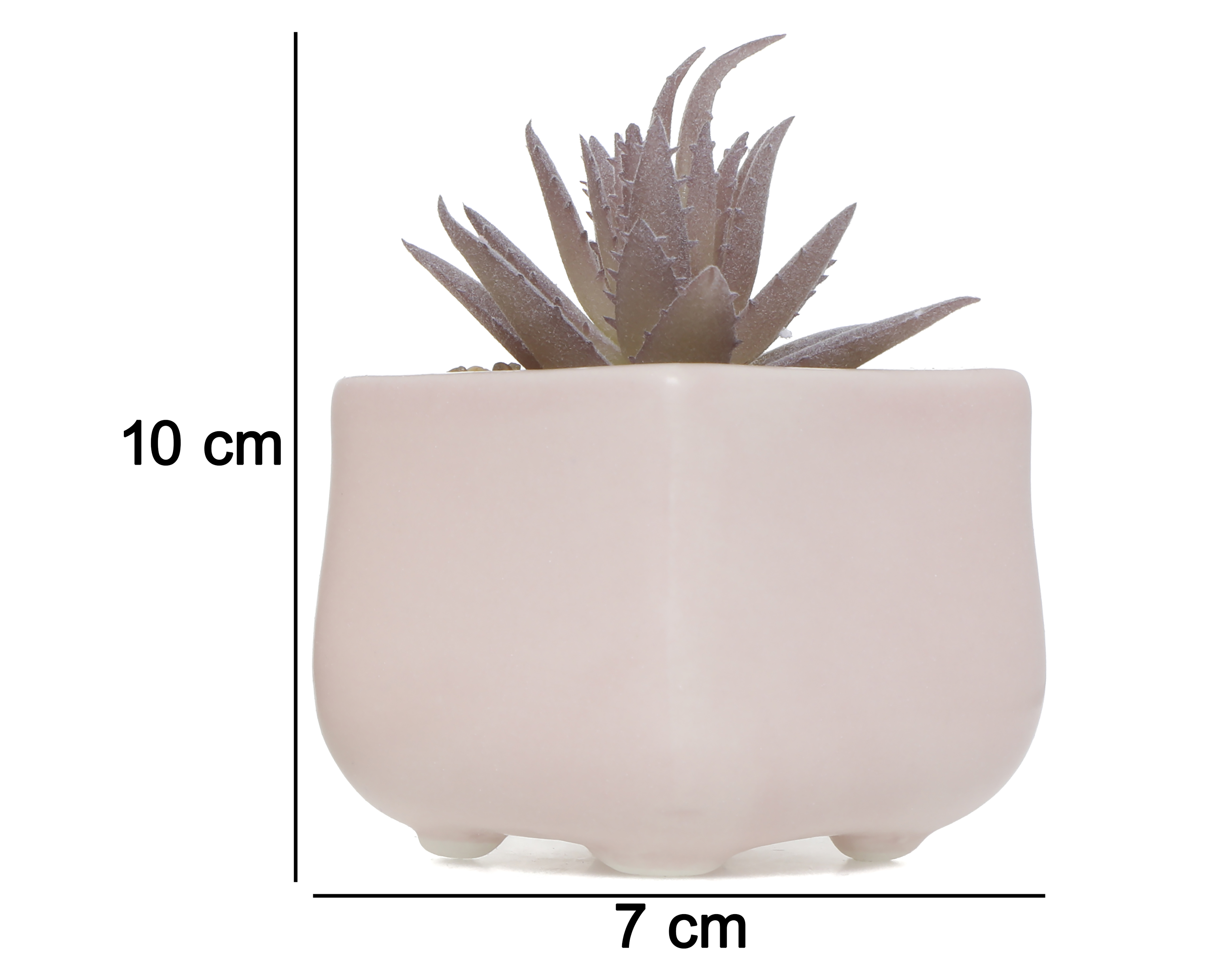 Foto 5 | Foto 5 | Suculenta Artificial Starhaus Vert 10 cm