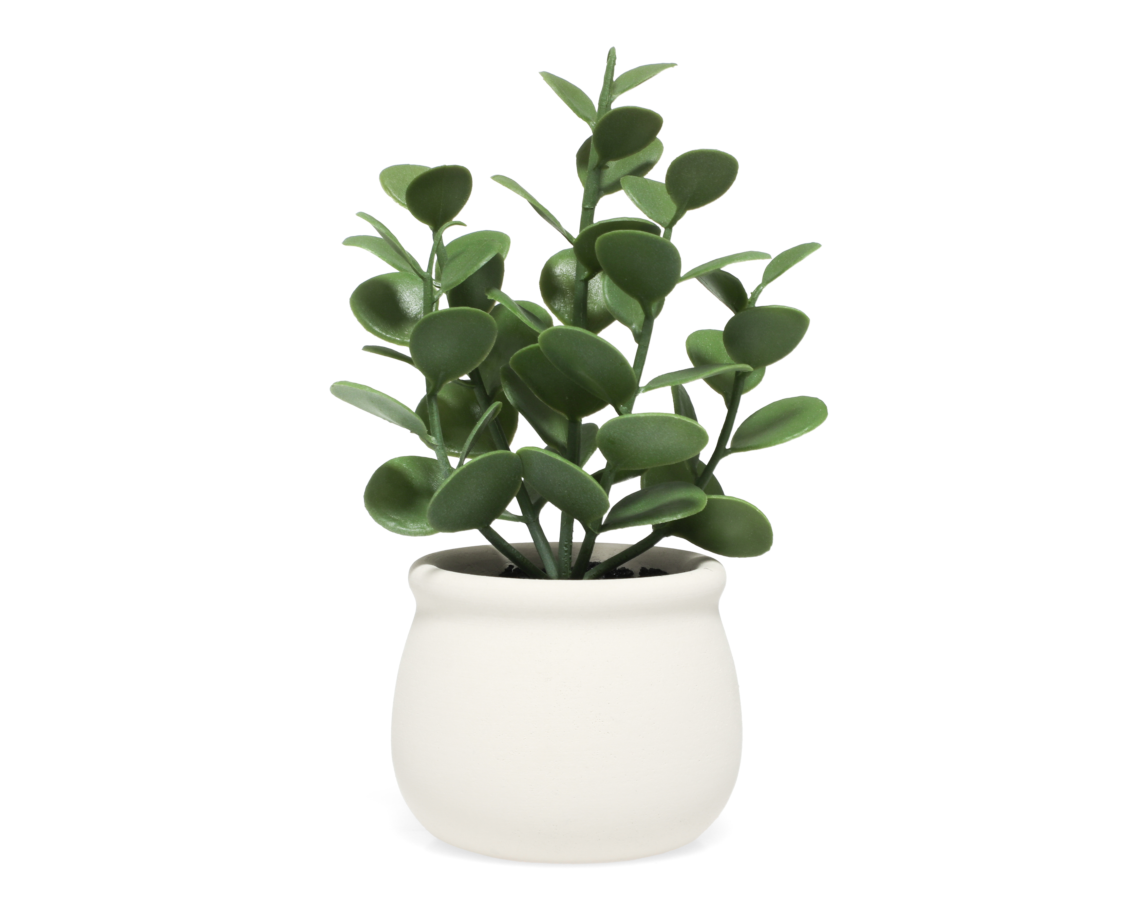 Foto 2 pulgar | Foto 1 | Suculenta Artificial con Maceta Loera 20 cm