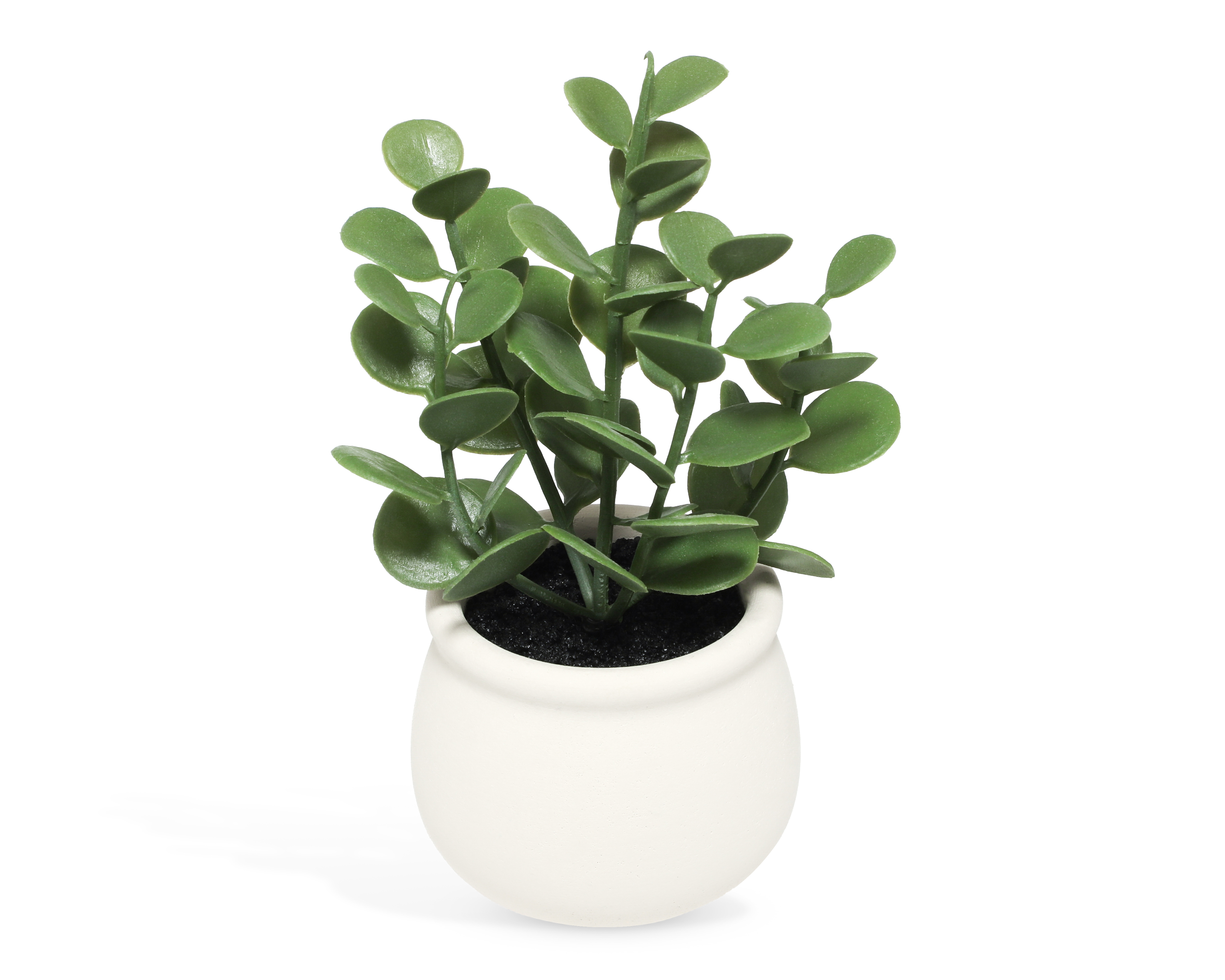 Foto 3 pulgar | Foto 2 | Suculenta Artificial con Maceta Loera 20 cm