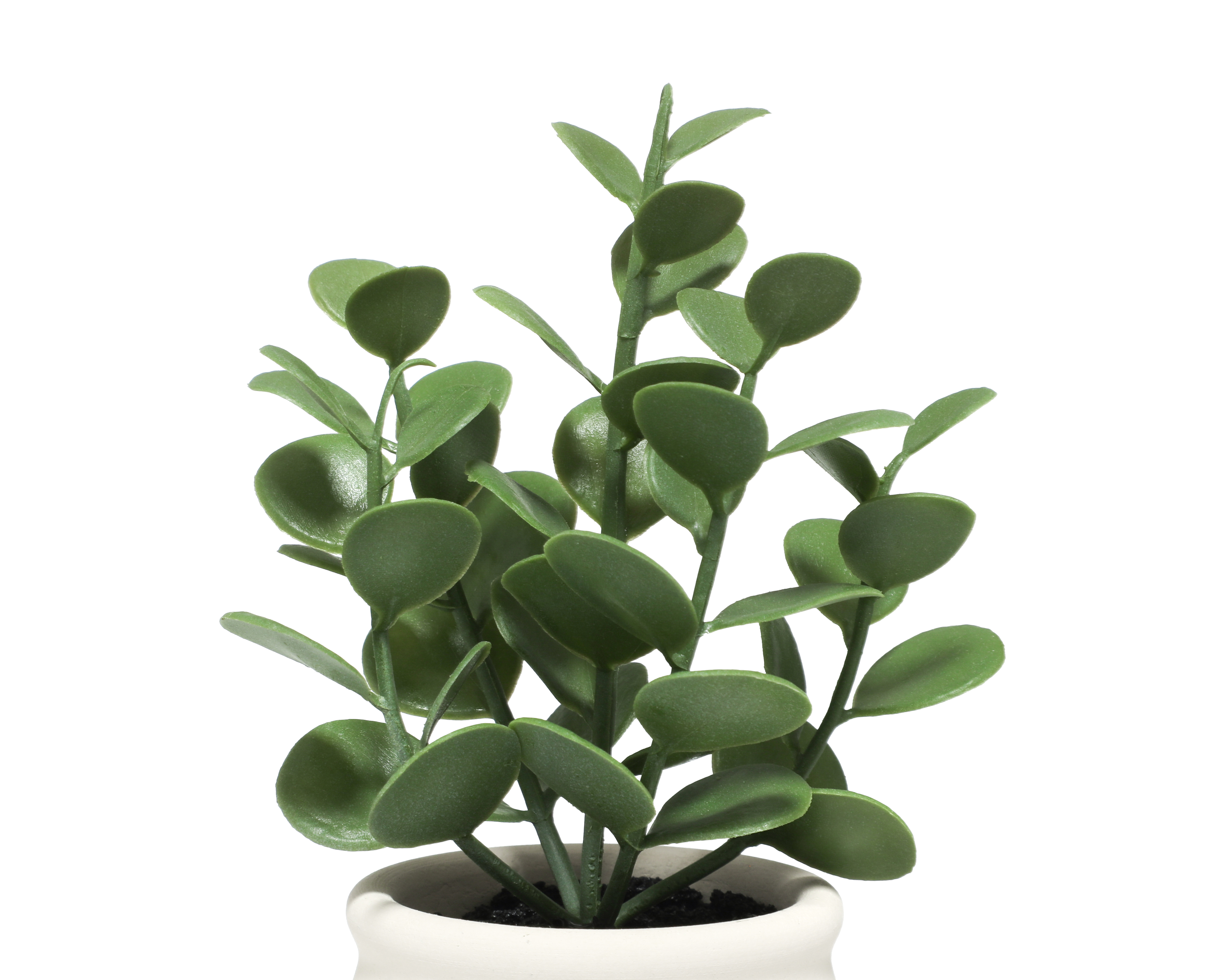 Foto 3 | Foto 3 | Suculenta Artificial con Maceta Loera 20 cm