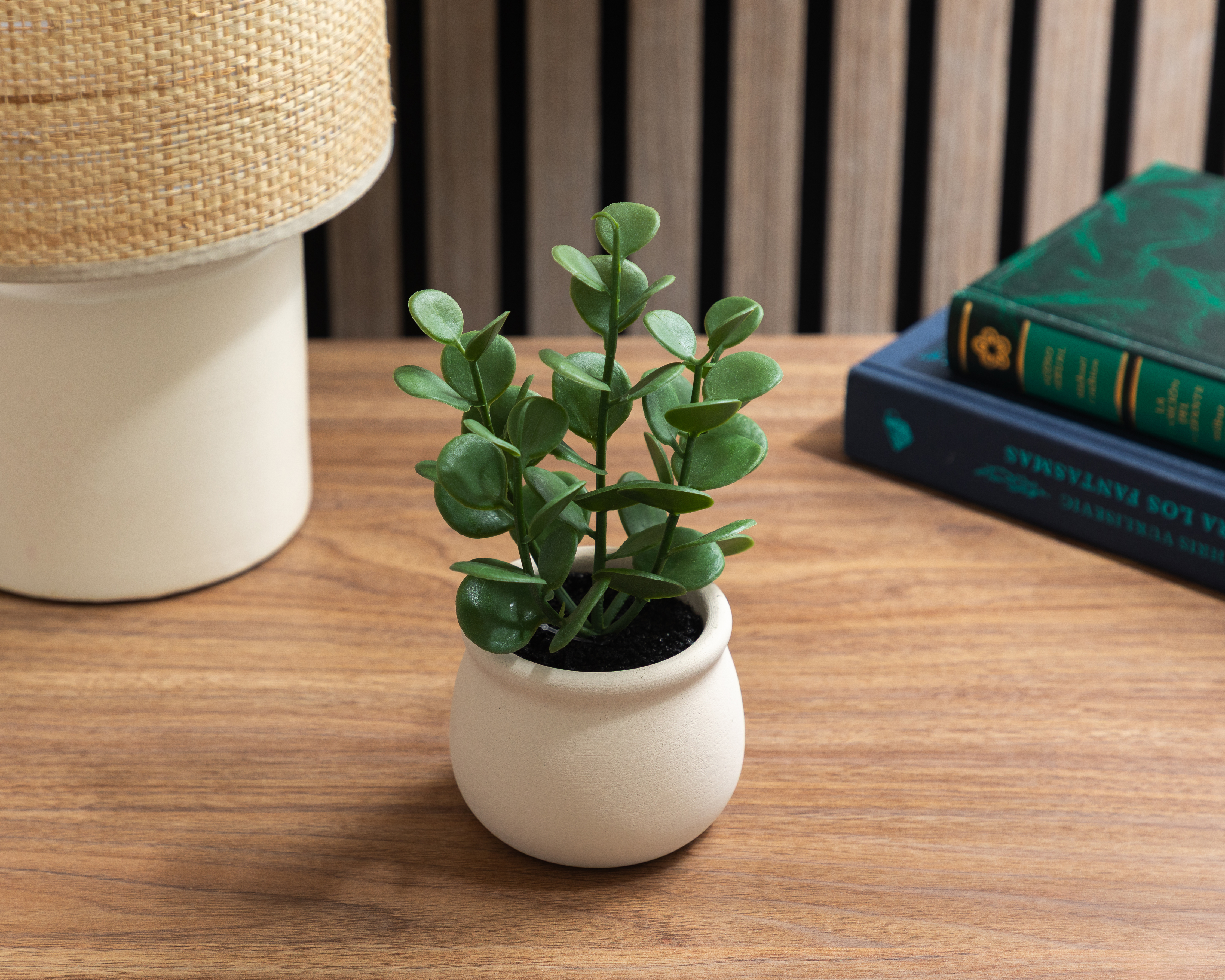 Foto 5 pulgar | Foto 4 | Suculenta Artificial con Maceta Loera 20 cm