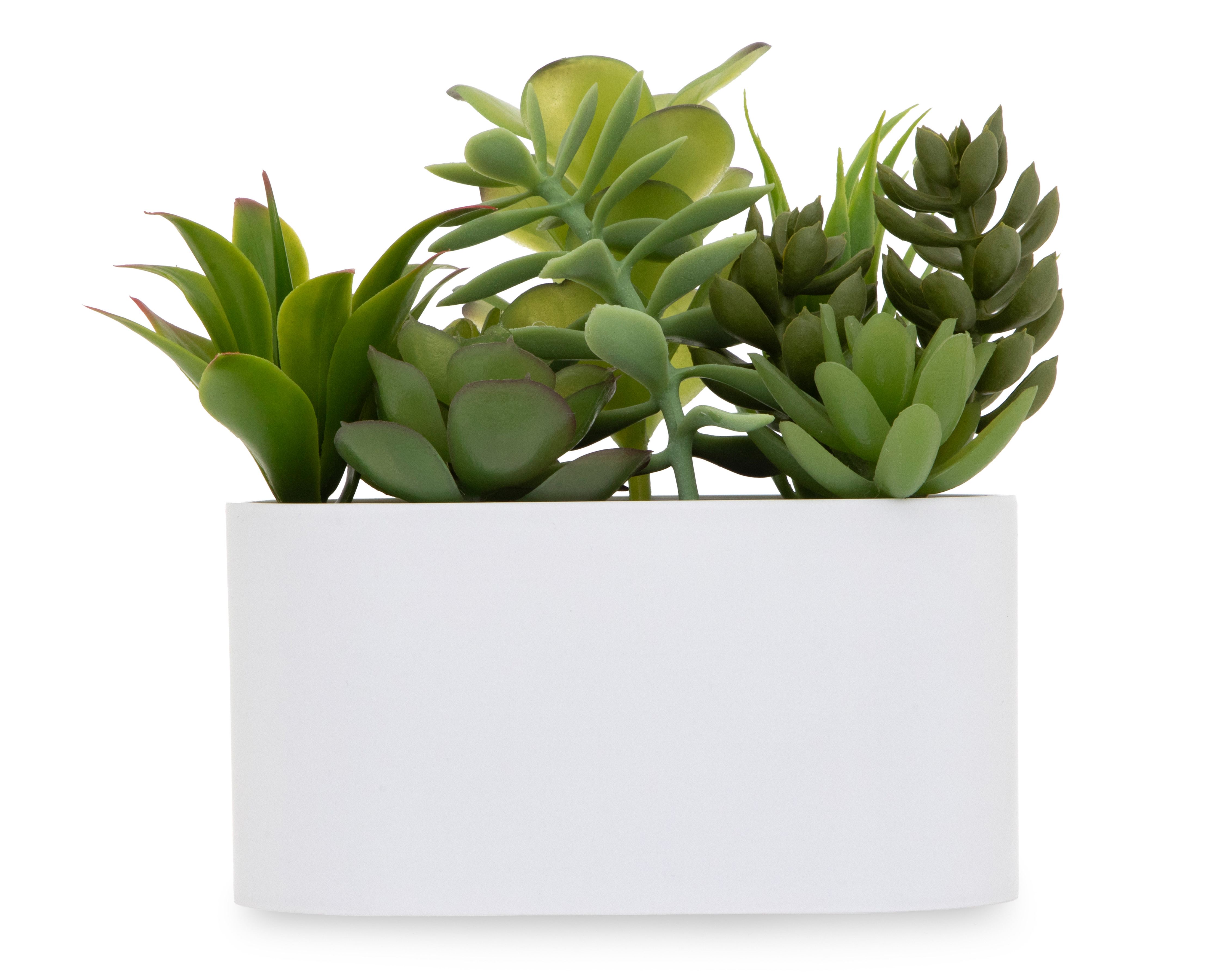 Suculenta Artificial con Maceta Starhaus 18 cm