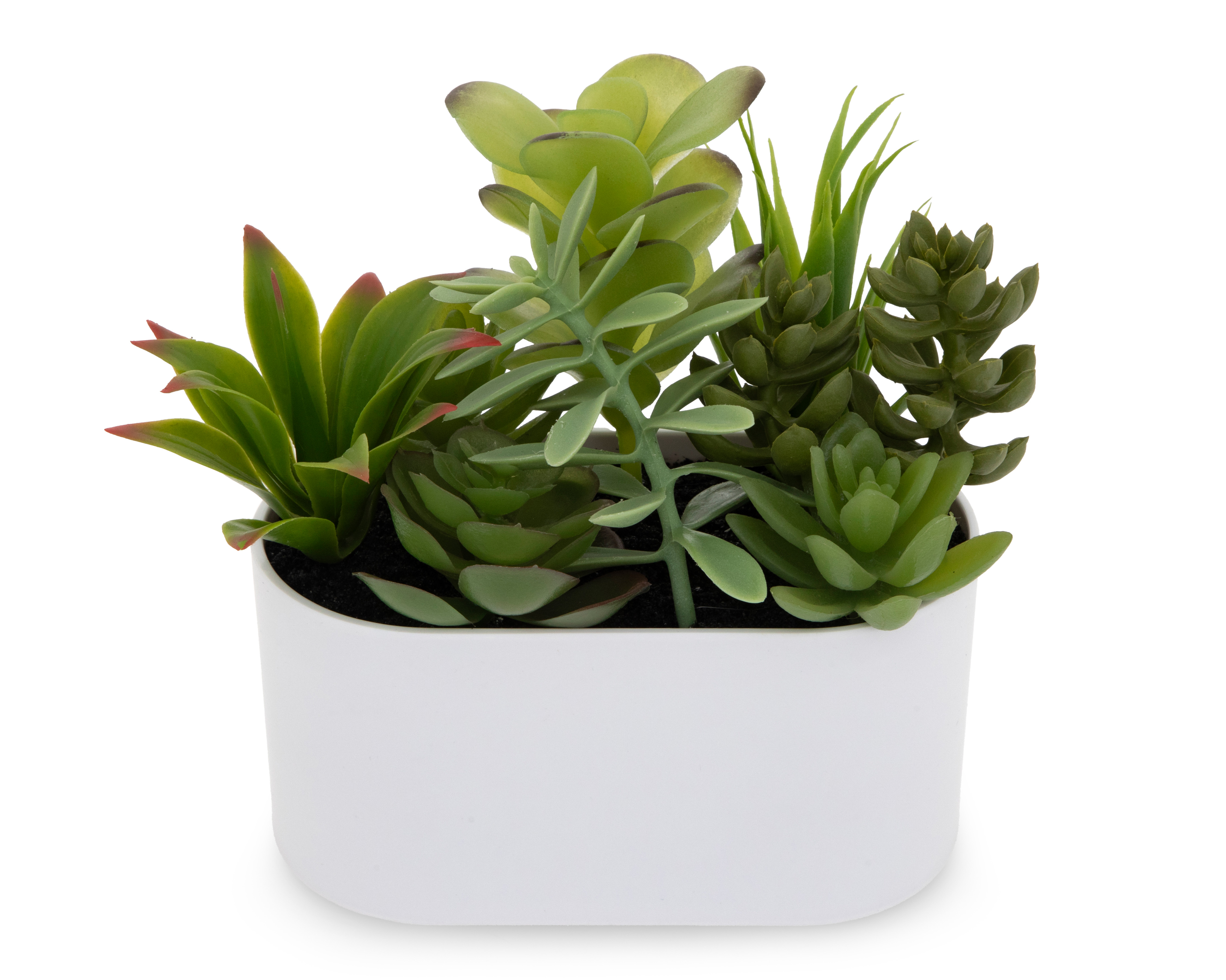 Foto 3 pulgar | Foto 2 | Suculenta Artificial con Maceta Starhaus 18 cm