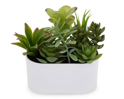 Foto 2 | Foto 2 | Suculenta Artificial con Maceta Starhaus 18 cm