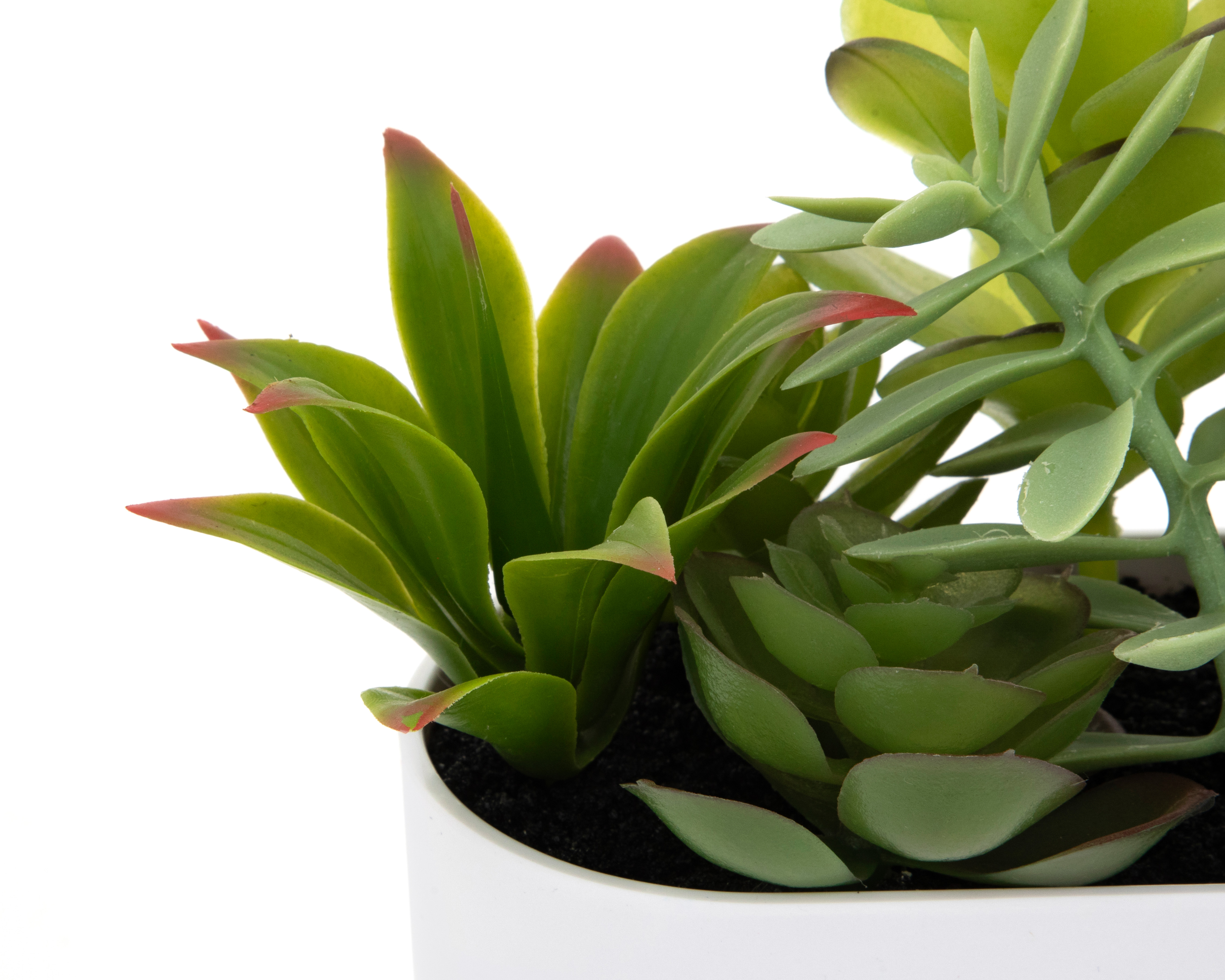 Foto 4 pulgar | Foto 3 | Suculenta Artificial con Maceta Starhaus 18 cm