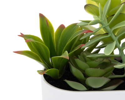 Foto 3 | Foto 3 | Suculenta Artificial con Maceta Starhaus 18 cm