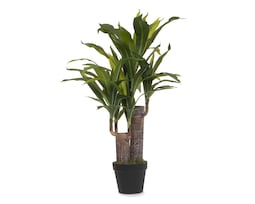 Planta Artificial con Maceta 80 cm