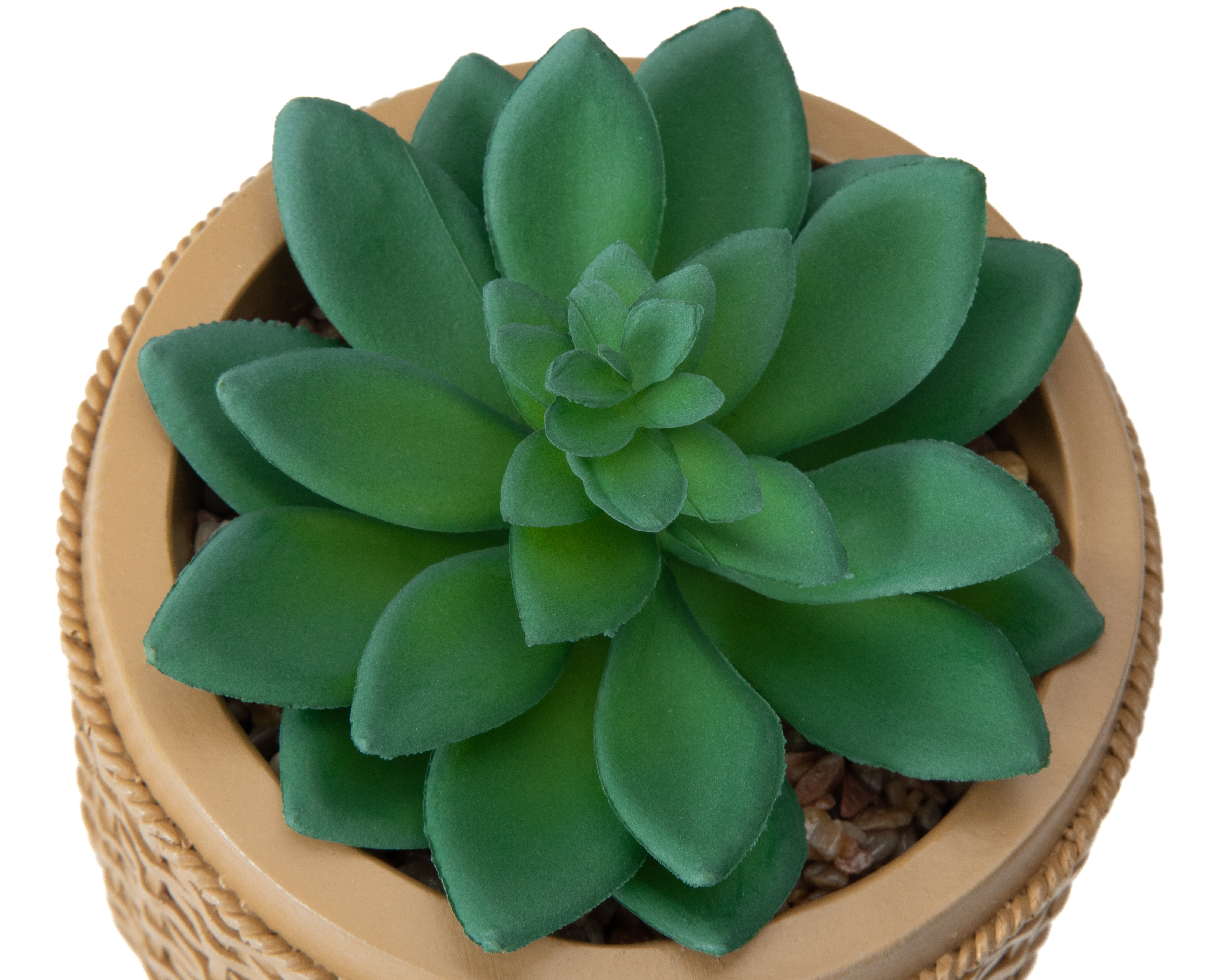 Foto 4 pulgar | Foto 3 | Suculenta Artificial con Maceta Starhaus 10.5 cm