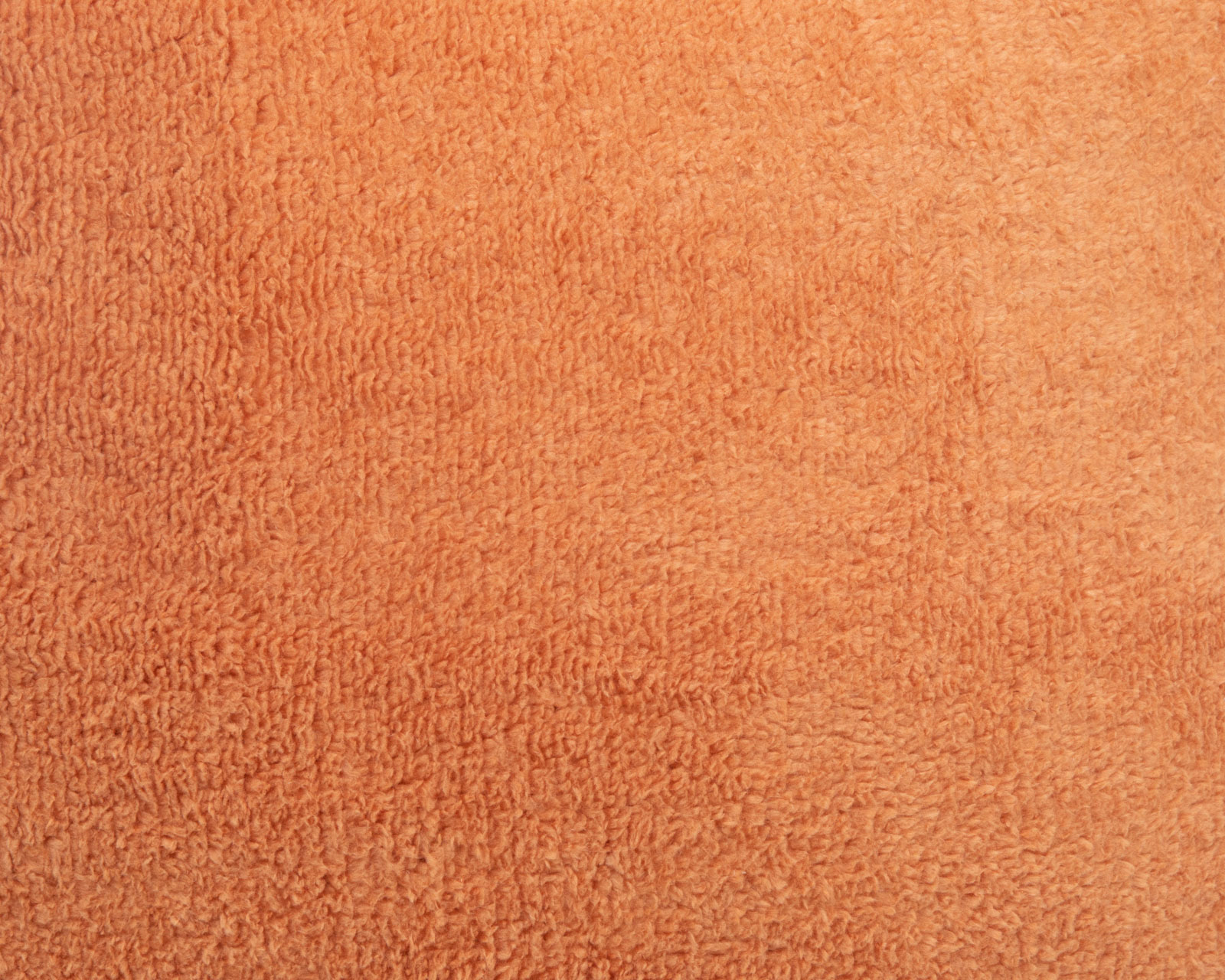 Foto 6 pulgar | Foto 5 | Cojín Decorativo Autumn Maple
