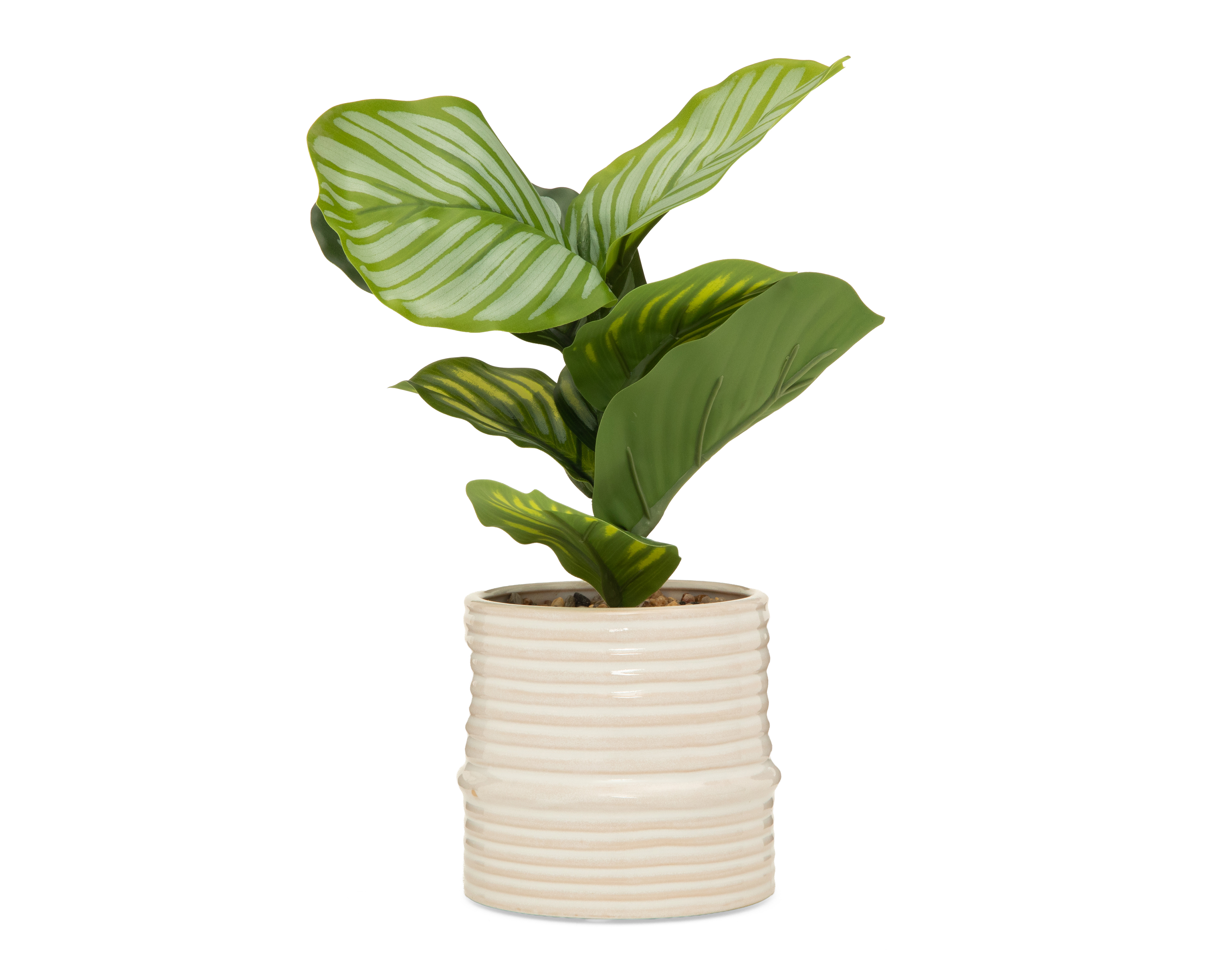 Calathea Artificial con Maceta Starhaus 32.5 cm