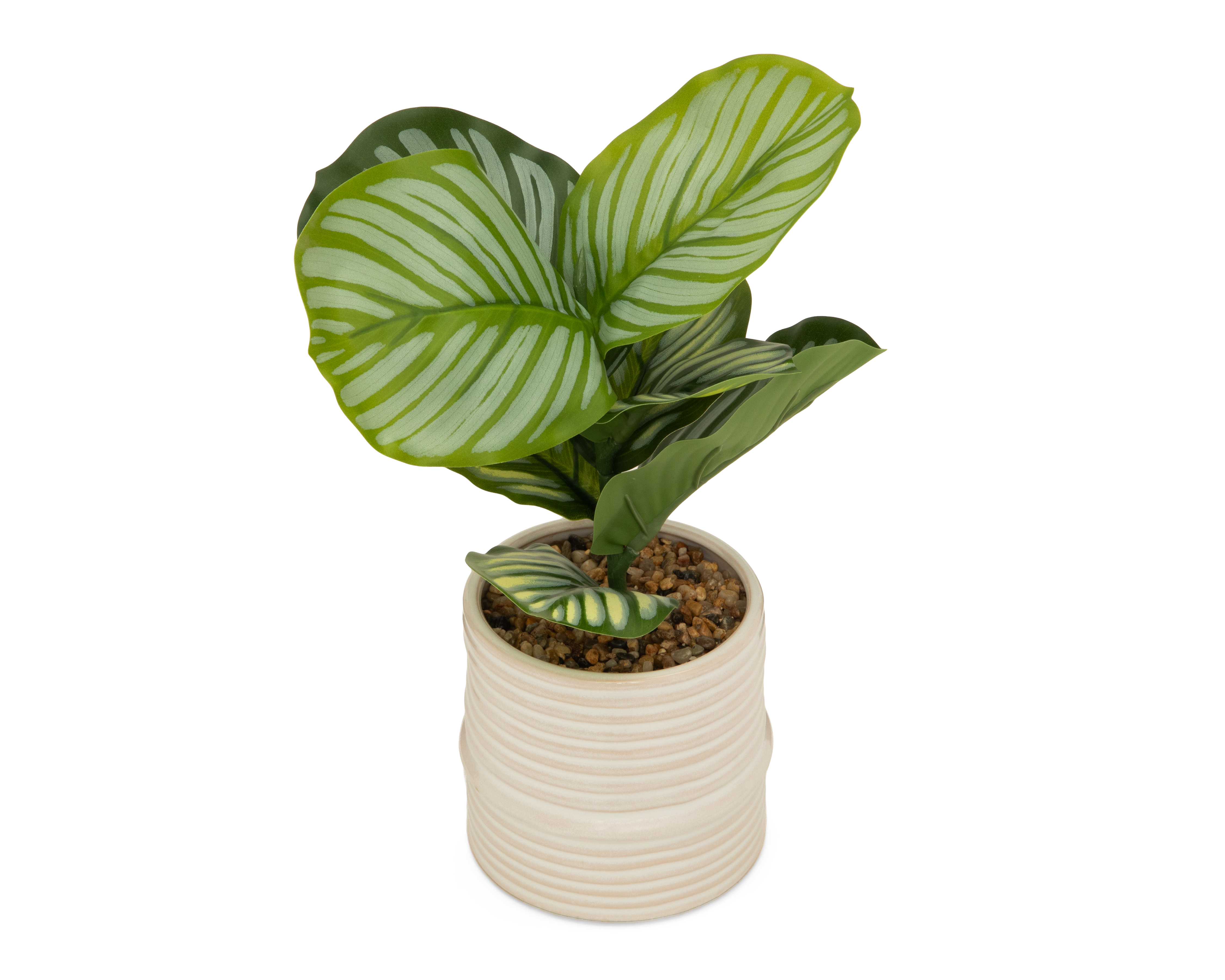 Foto 2 | Foto 2 | Calathea Artificial con Maceta Starhaus 32.5 cm