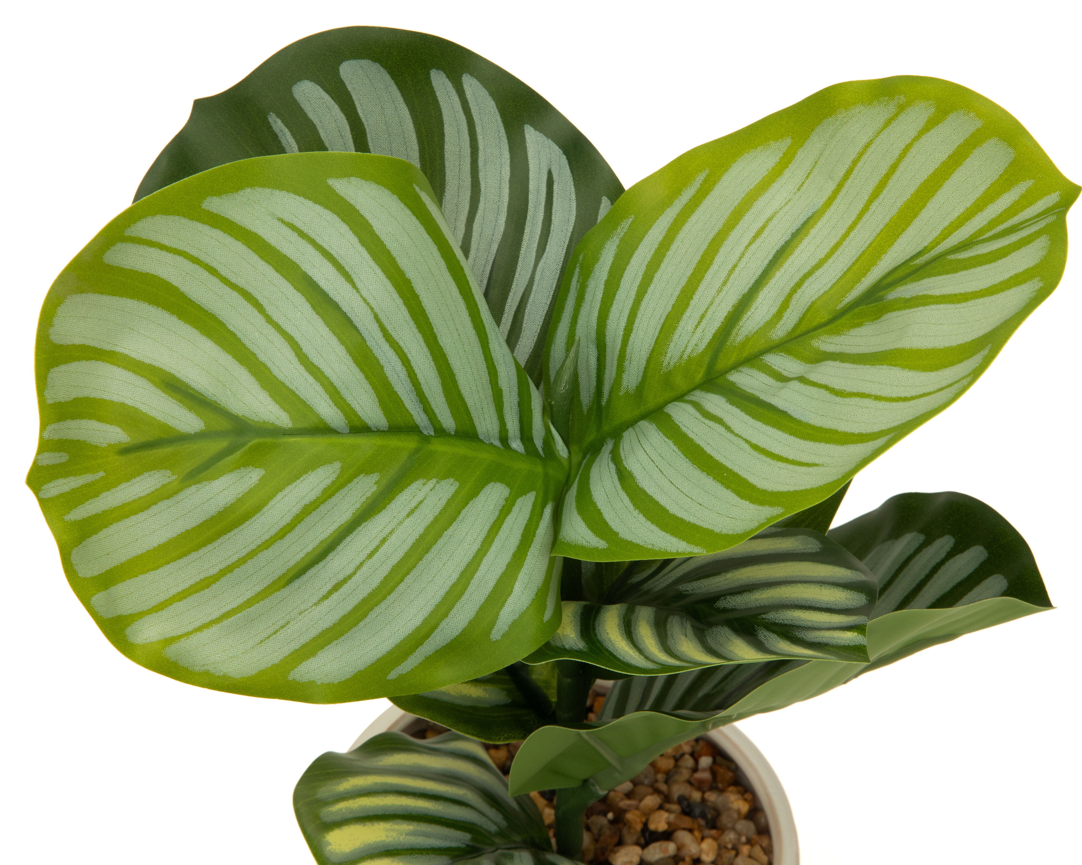 Foto 3 | Foto 3 | Calathea Artificial con Maceta Starhaus 32.5 cm