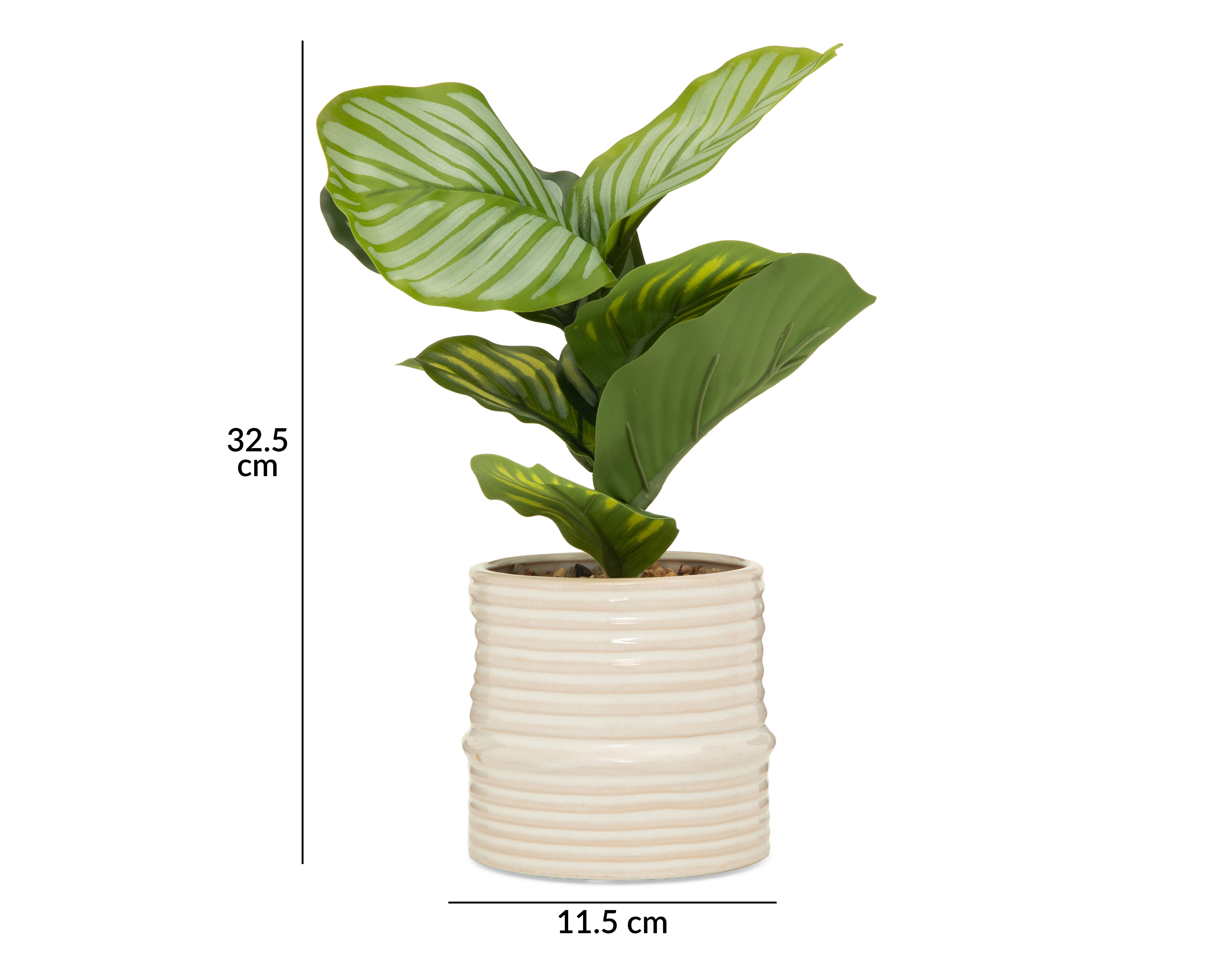 Foto 6 pulgar | Foto 5 | Calathea Artificial con Maceta Starhaus 32.5 cm