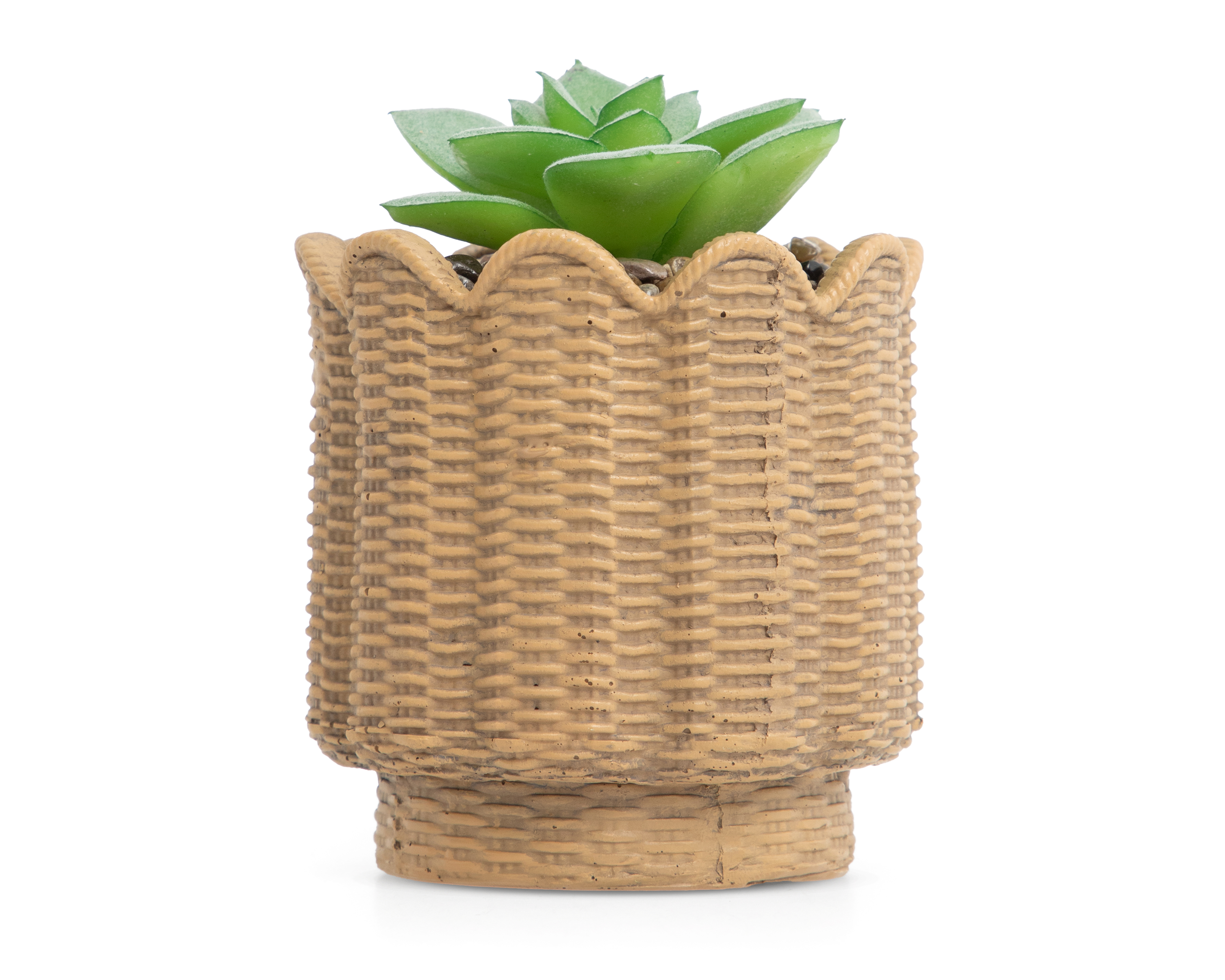 Foto 2 pulgar | Foto 1 | Suculenta Artificial Starhaus Artemisa 14 cm