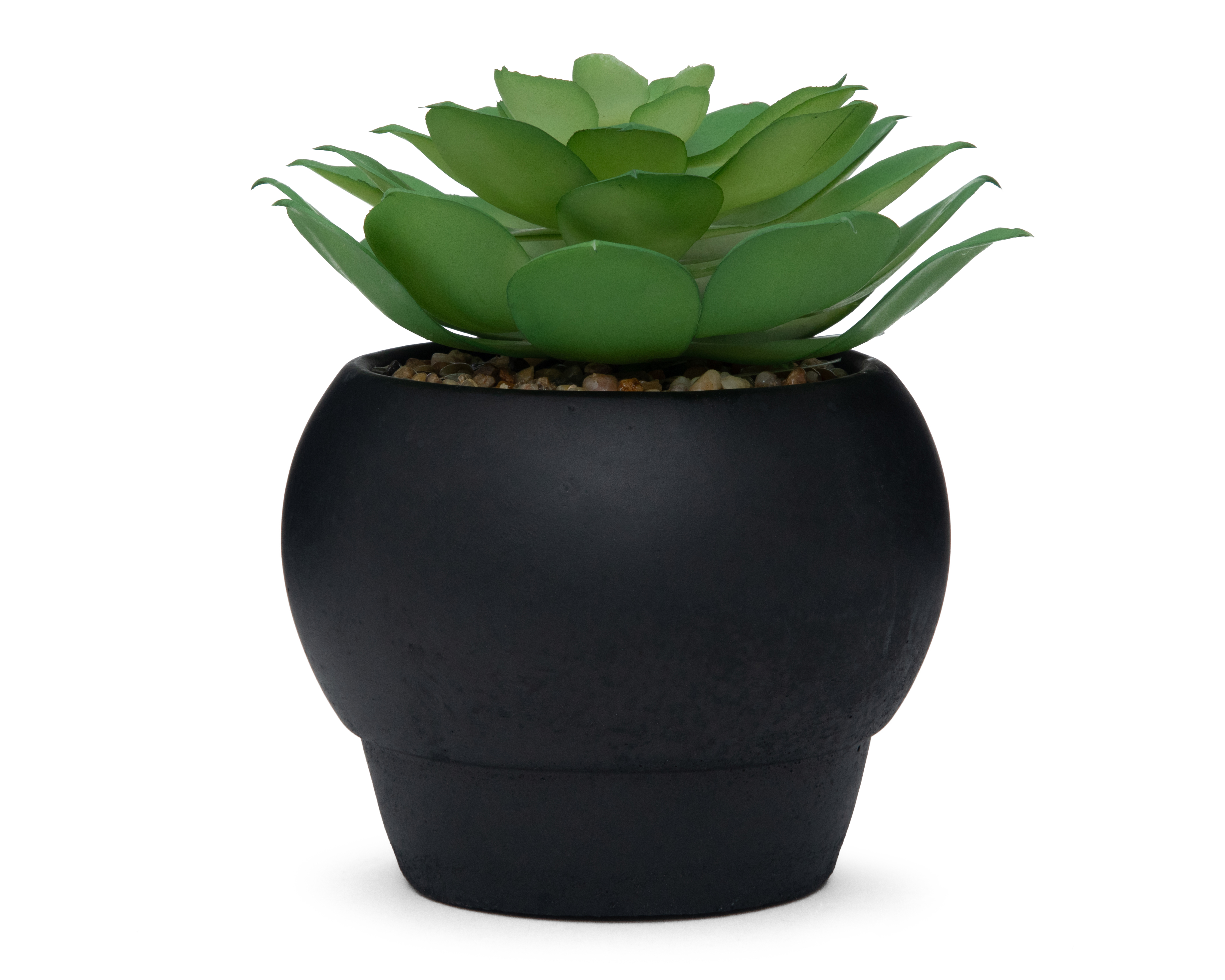 Suculenta Artificial con Maceta Starhaus 17 cm